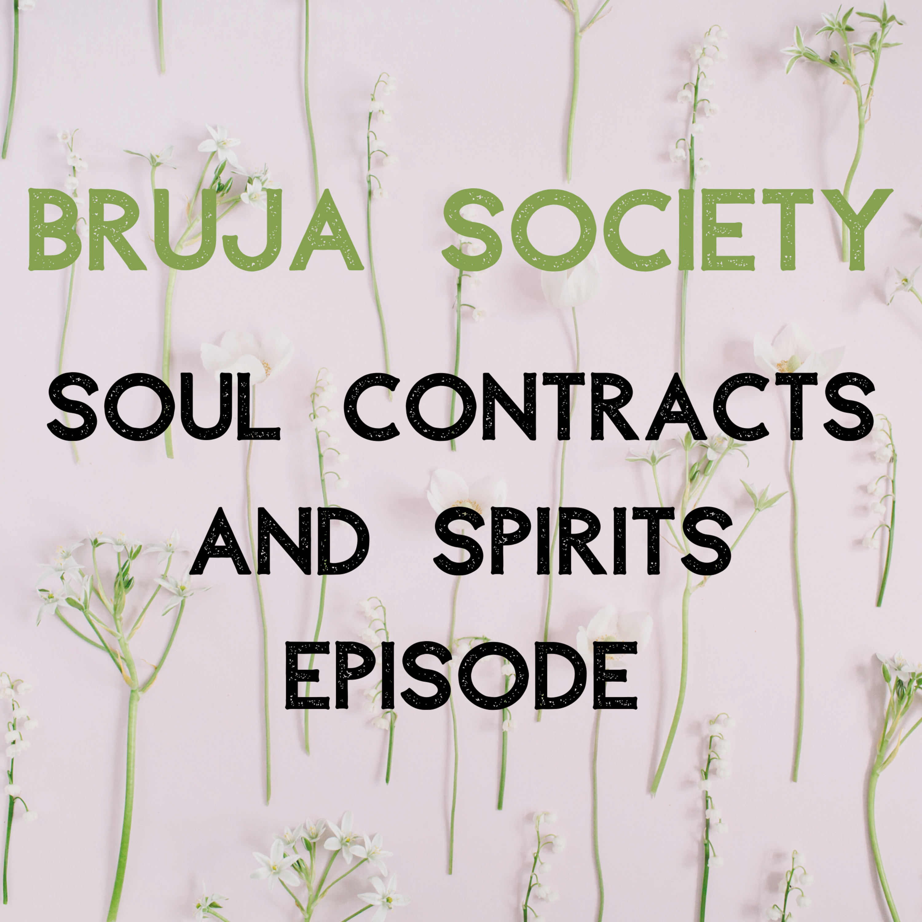Bruja Society