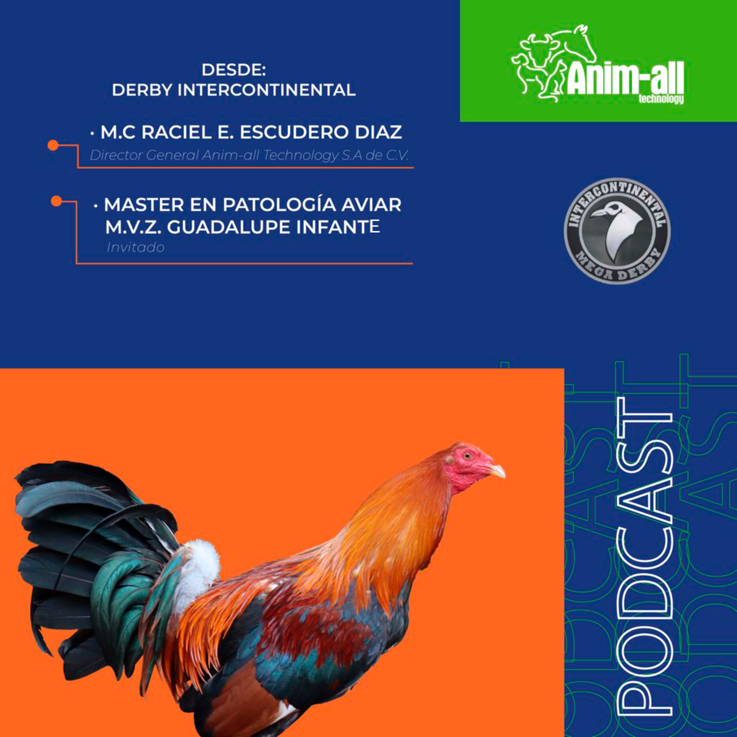 Anim-all technology
