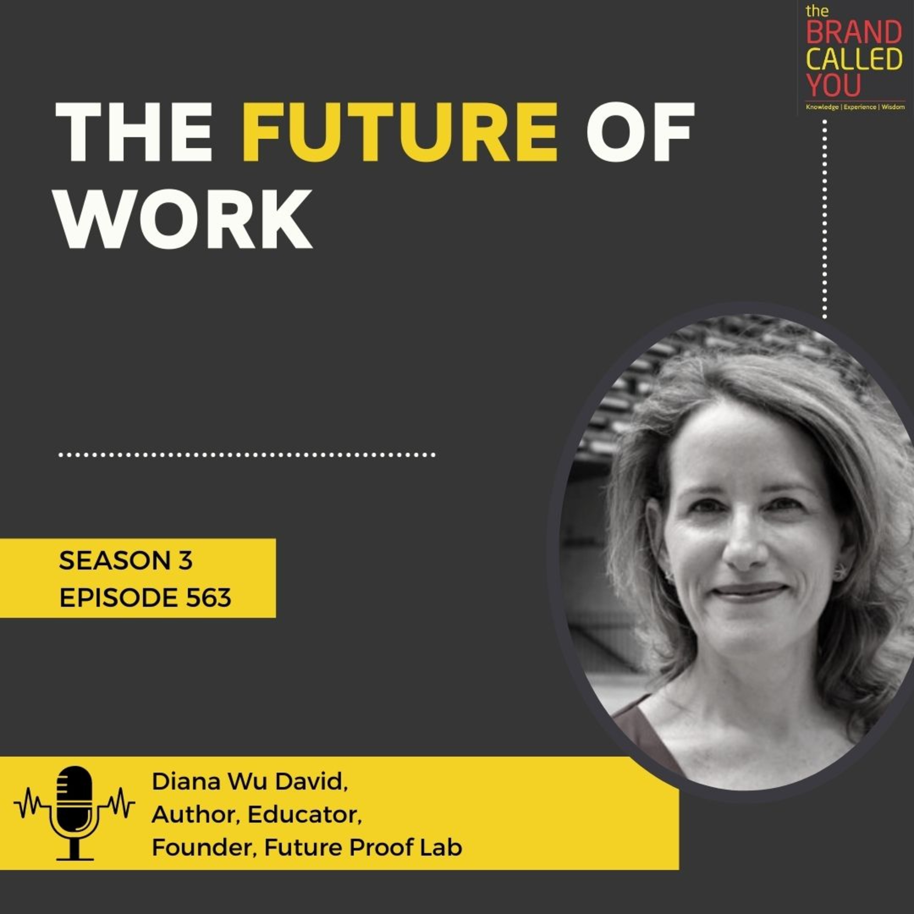 Helping Organizations Get Ready for the Future of Work | Diana Wu David, Author, Educator, Founder, Future Proof Lab