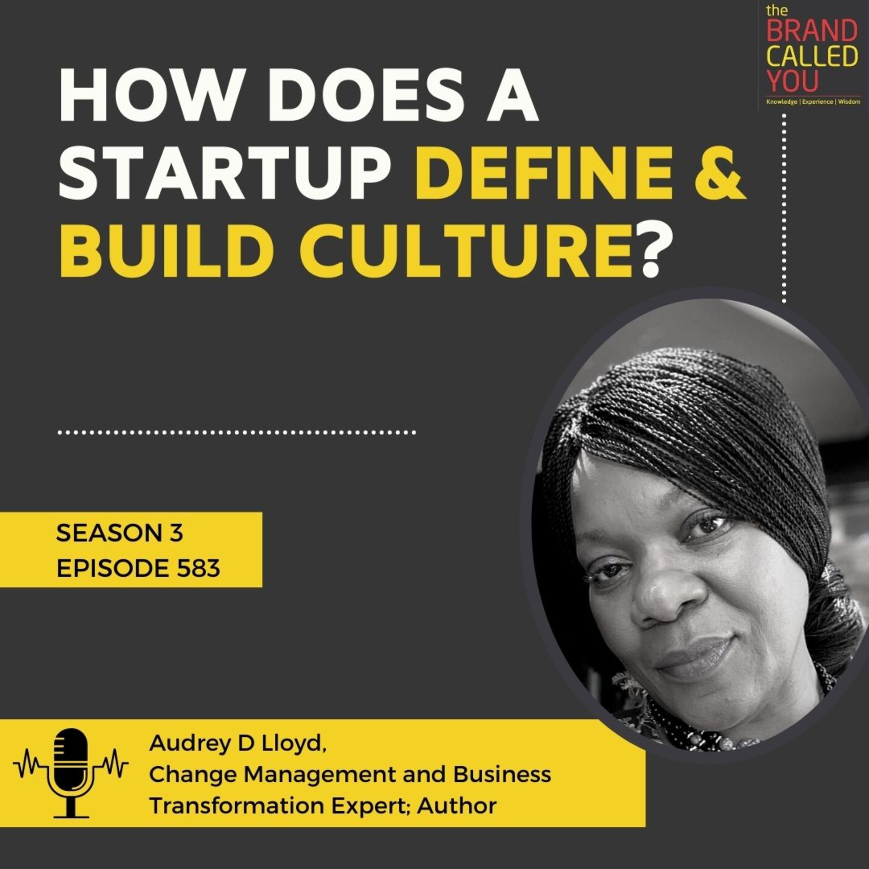 The difference between coaching a senior leader and an emerging leader | Audrey D Lloyd, Change Management and Business Transformation Expert; Author