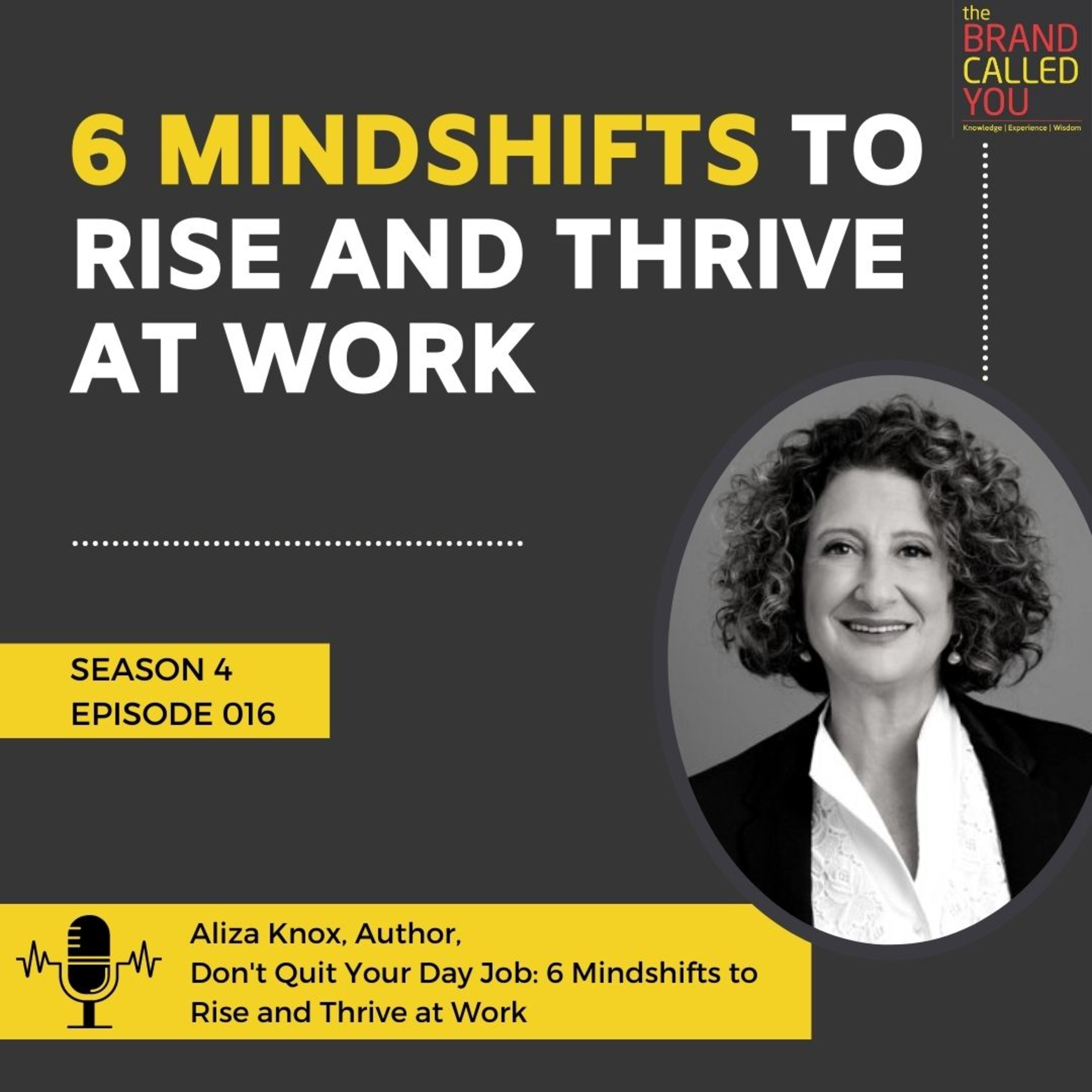 Why you should never ‘QUIT YOUR DAY JOB?’ | Aliza Knox, Author, Don't Quit Your Day Job: The 6 Mindshifts You Need to Rise and Thrive at Work