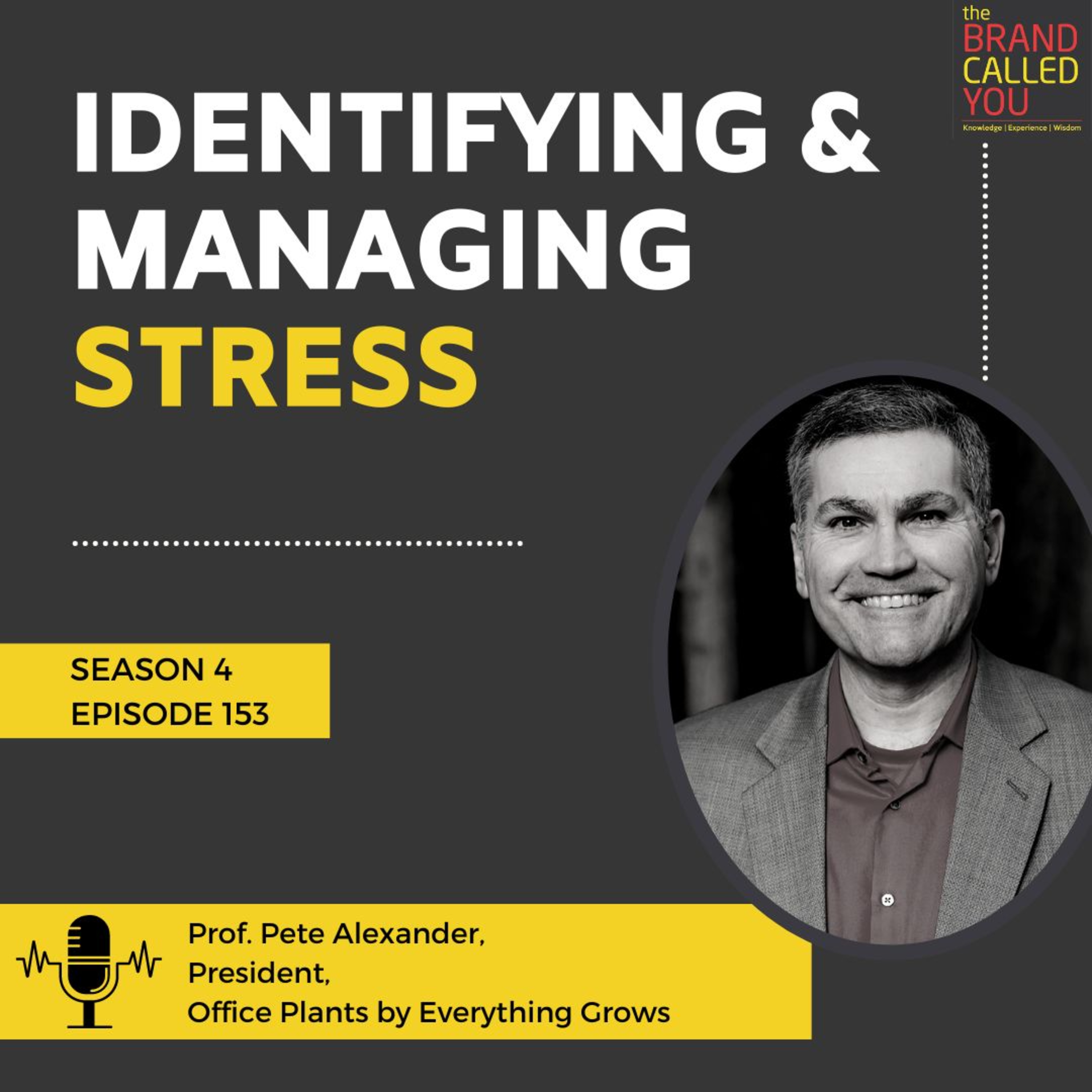 Carving Life with Stress Management | Prof. Pete Alexander, President, Office Plants by Everything Grows