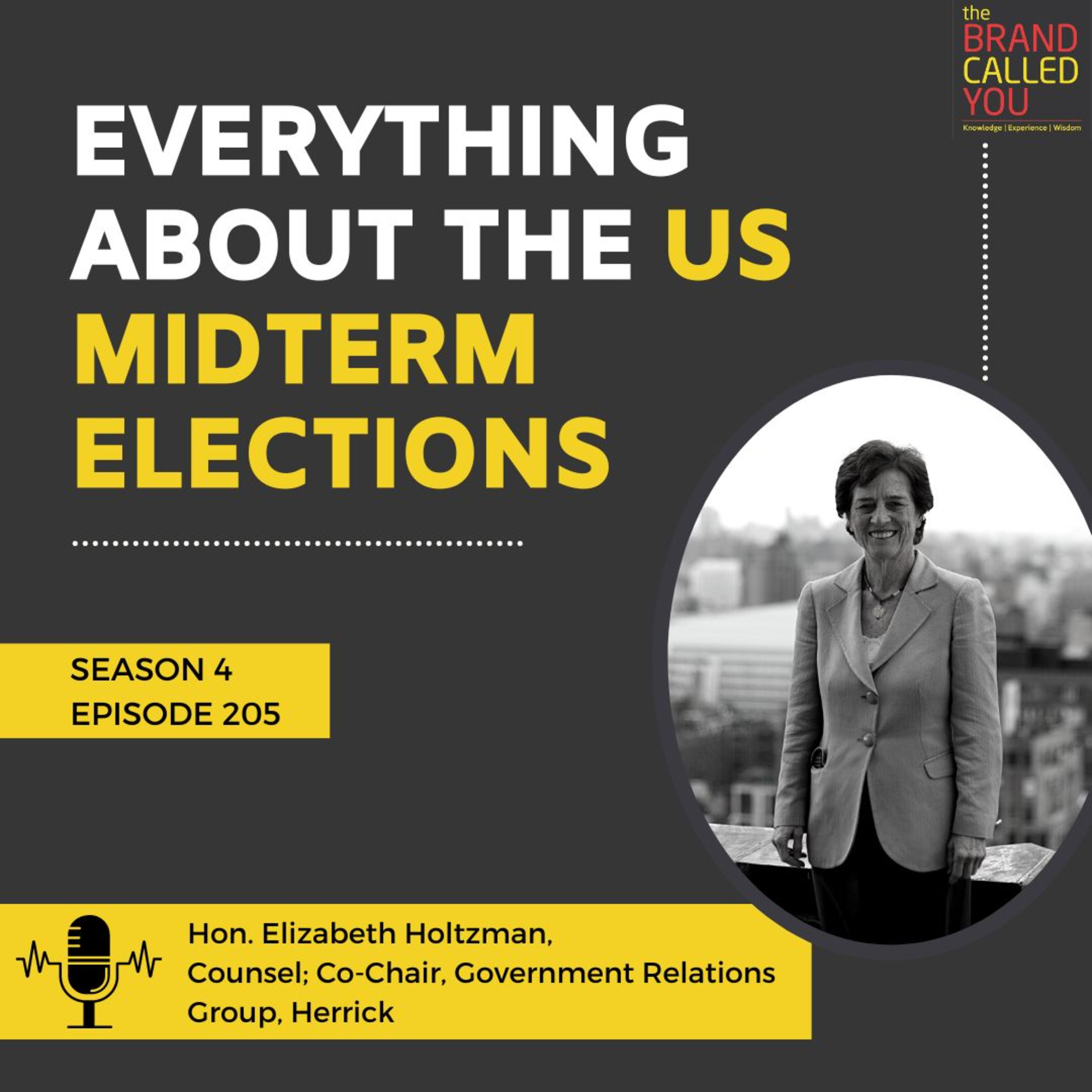 Hon. Elizabeth Holtzman talking about the US Midterm Elections | Hon. Elizabeth Holtzman Counsel; Co-Chair, Government Relations Group, Herrick