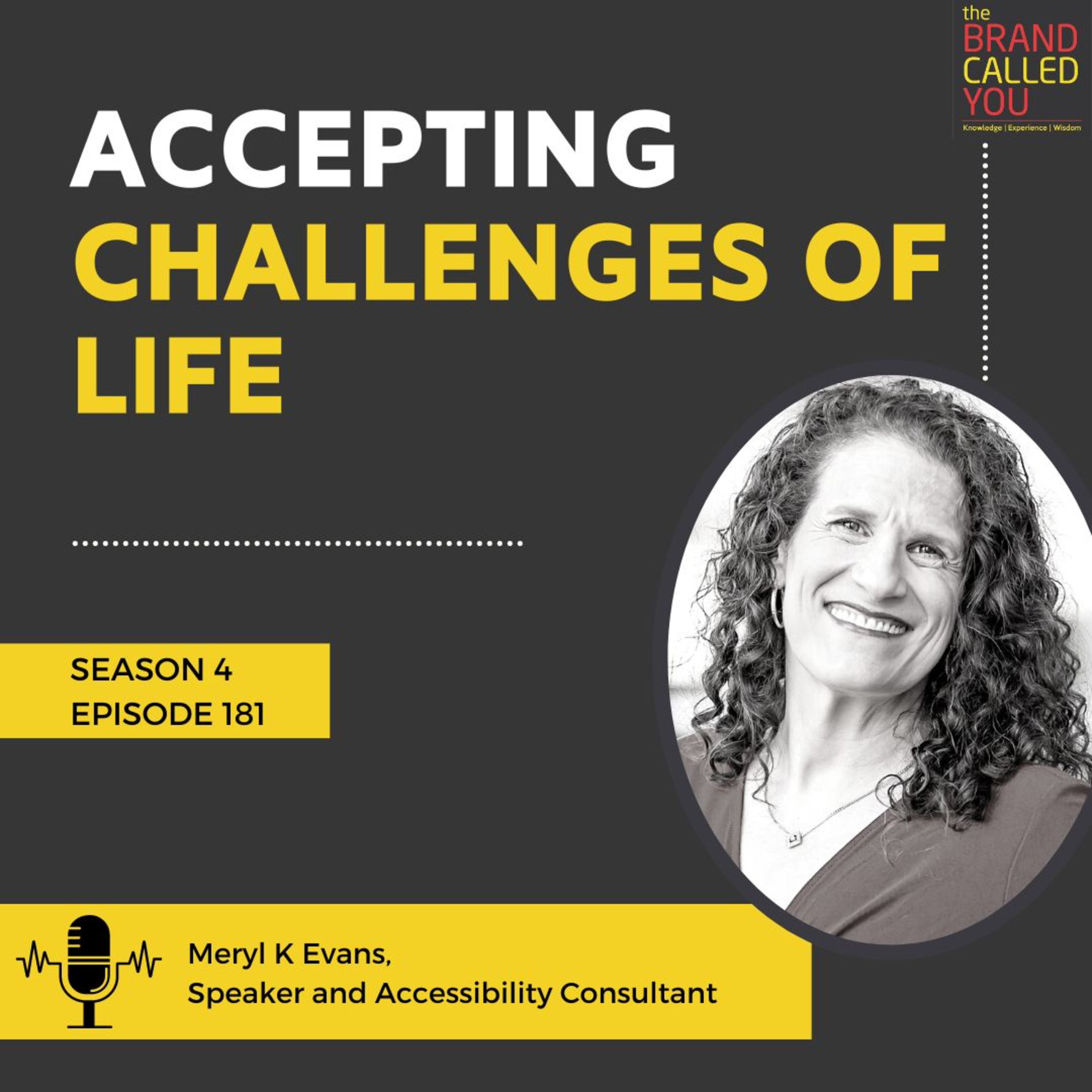 True Meaning of Diversity, Equity, and Inclusion | Meryl K Evans, Speaker and Accessibility Consultant