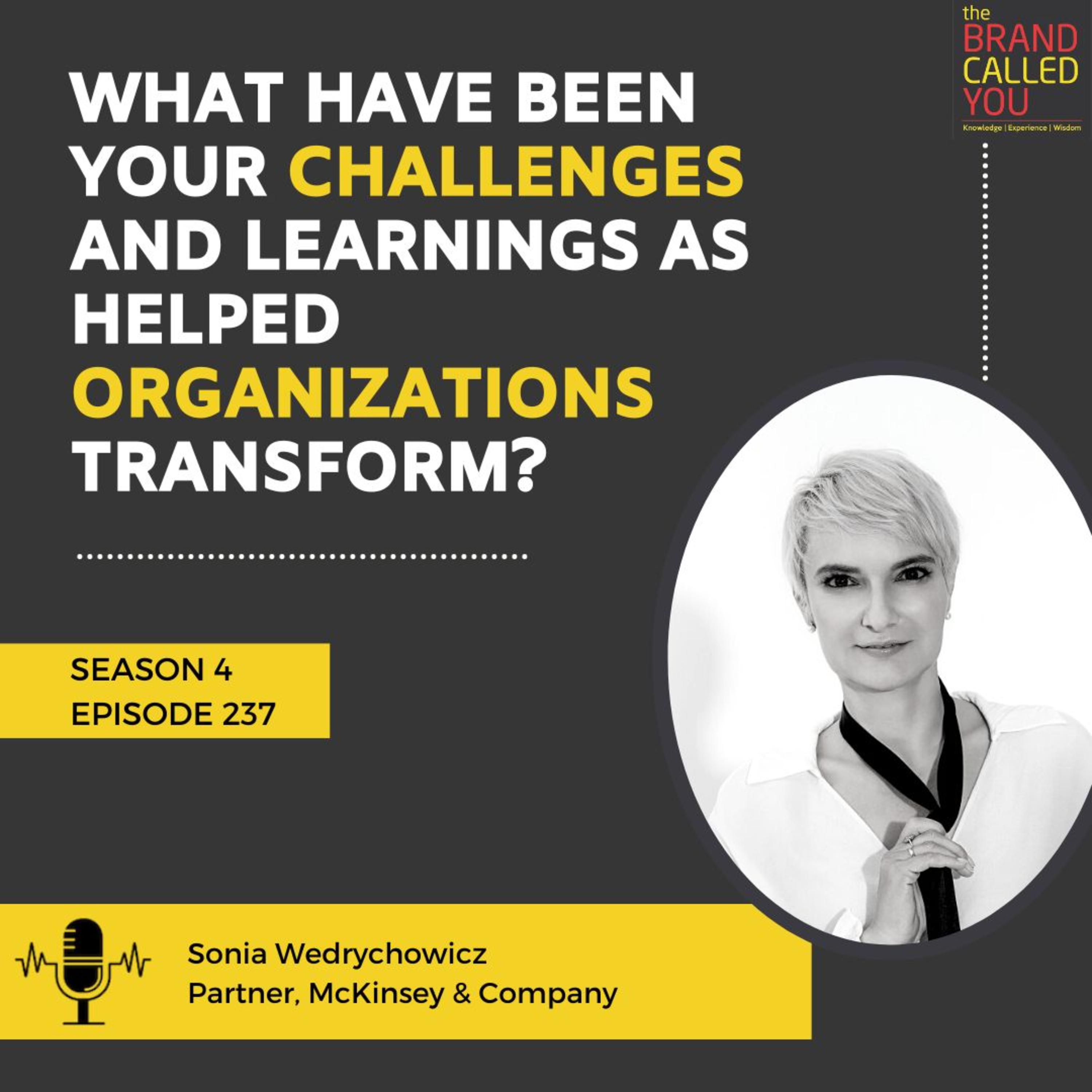 Adoption of Digital Technology by an Organisation | Sonia Wedrychowicz, Partner, McKinsey & Company