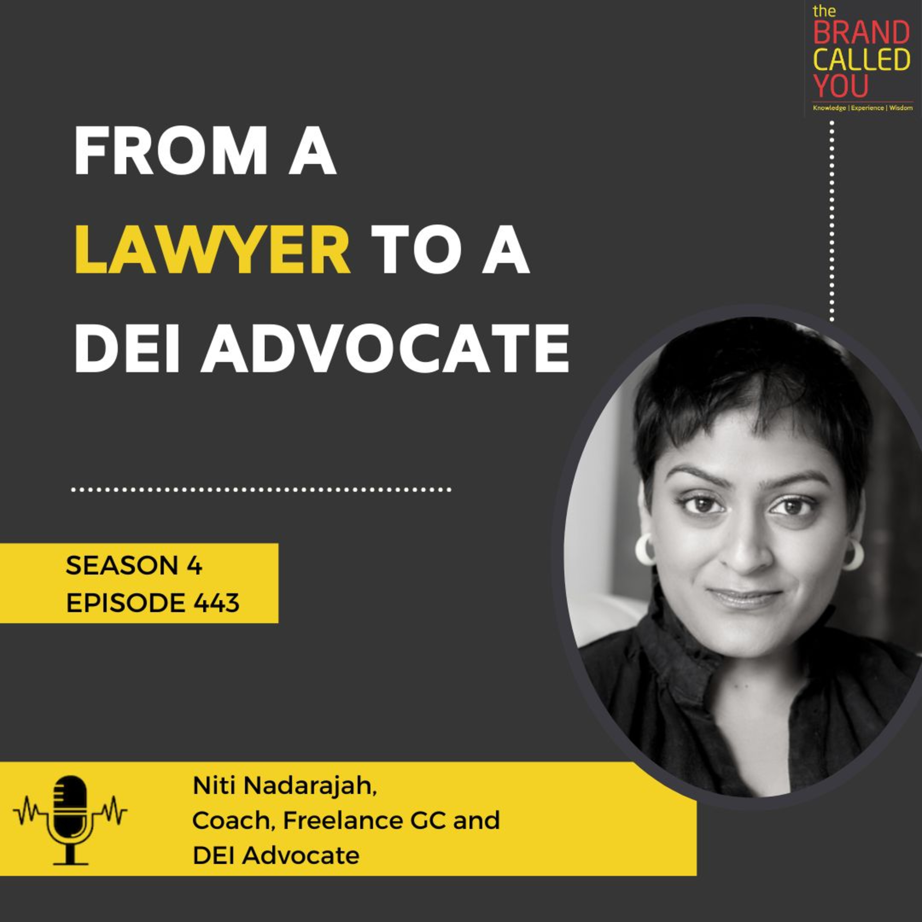 From a lawyer to a DEI Advocate | Niti Nadarajah | Coach | Freelance GC and DEI Advocate