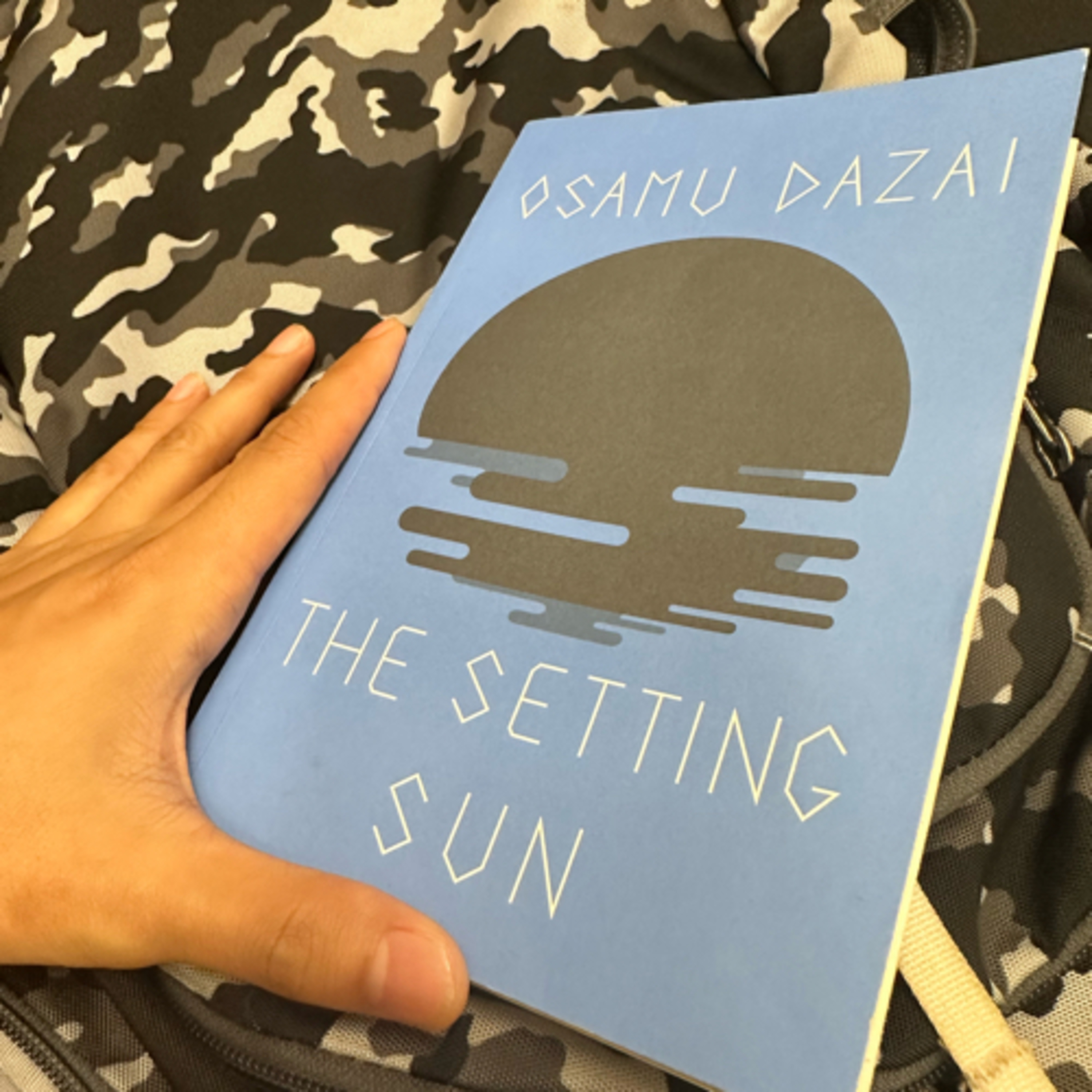 My feeling on the setting sun episode artwork