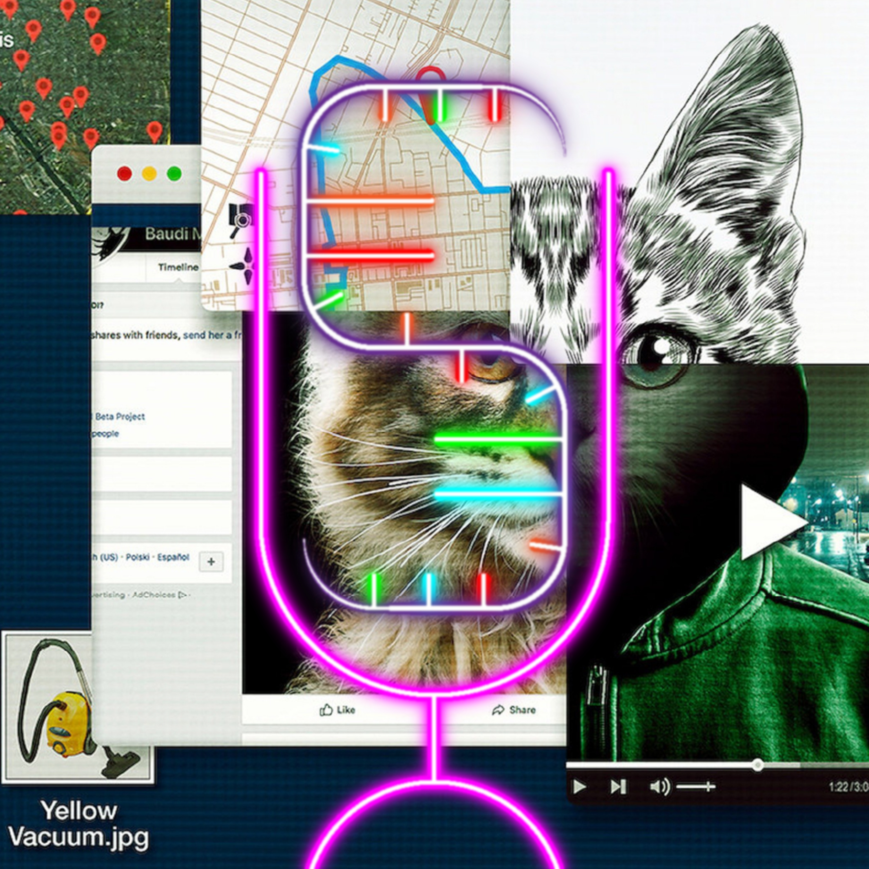 113T - Rule 0: No te metas con los gatos