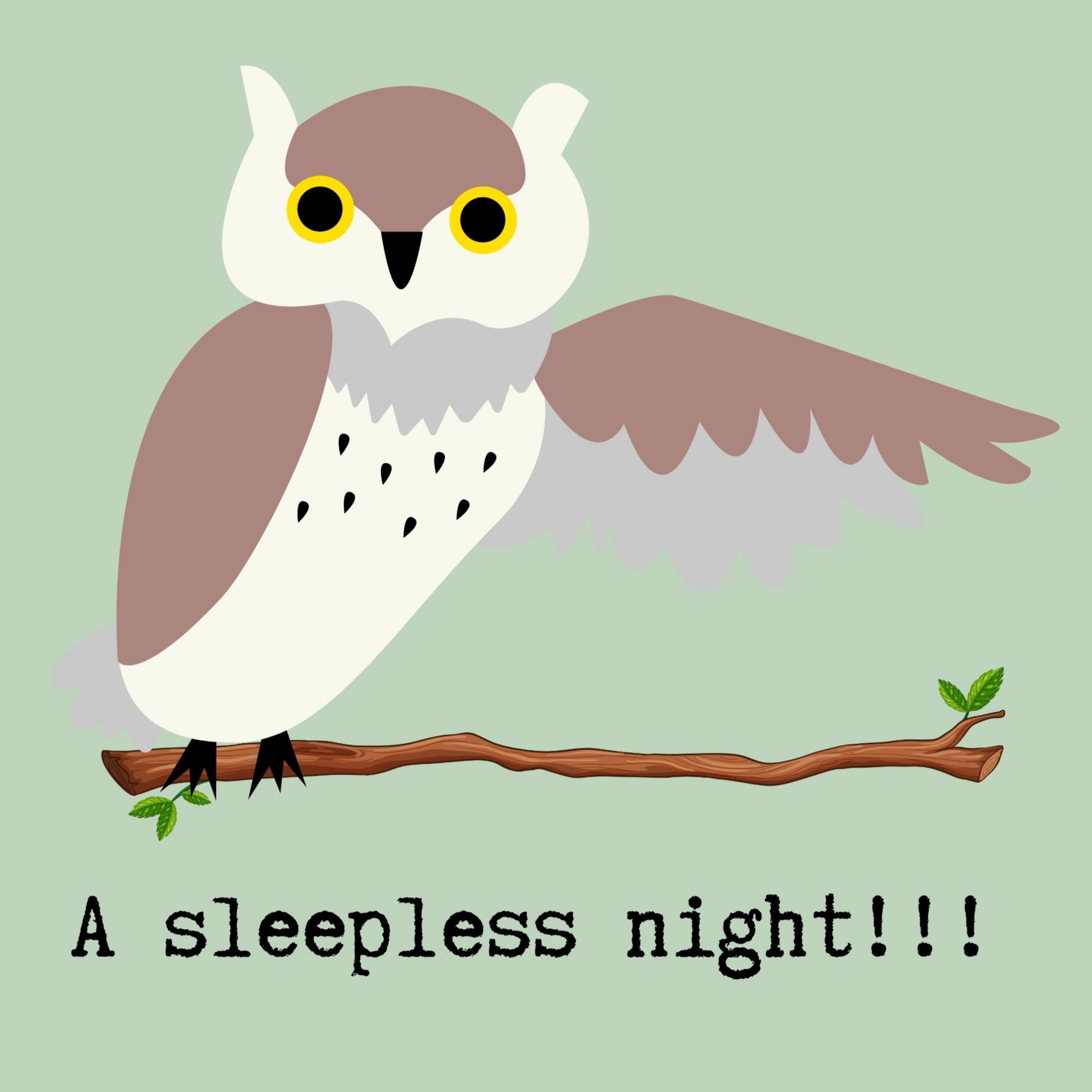 Vuvavuvo | S6E4 | A sleepless night ...