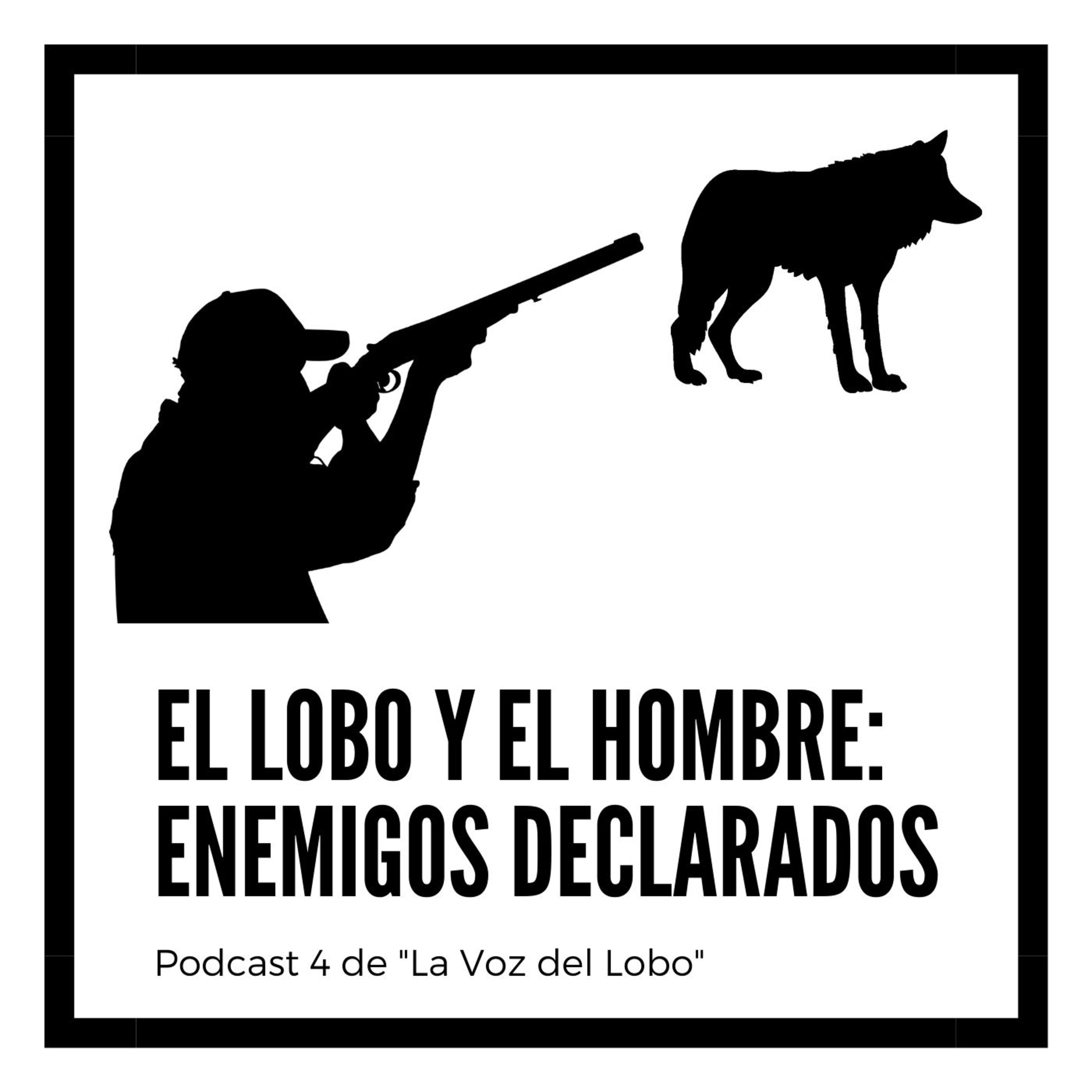 Podcast 4: El lobo y el hombre: enemigos declarados