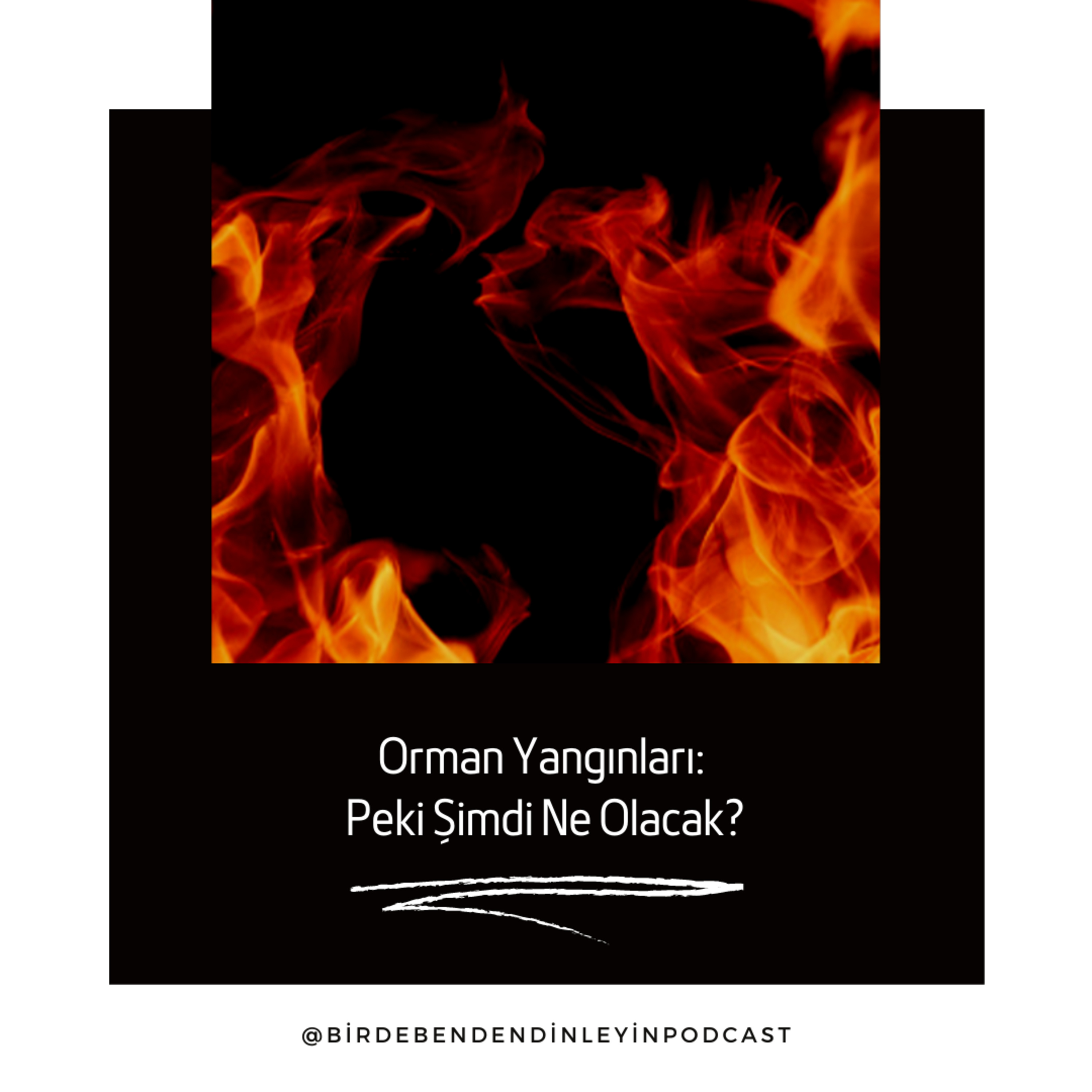 010 | Orman Yangınları: Peki Şimdi Ne Olacak?