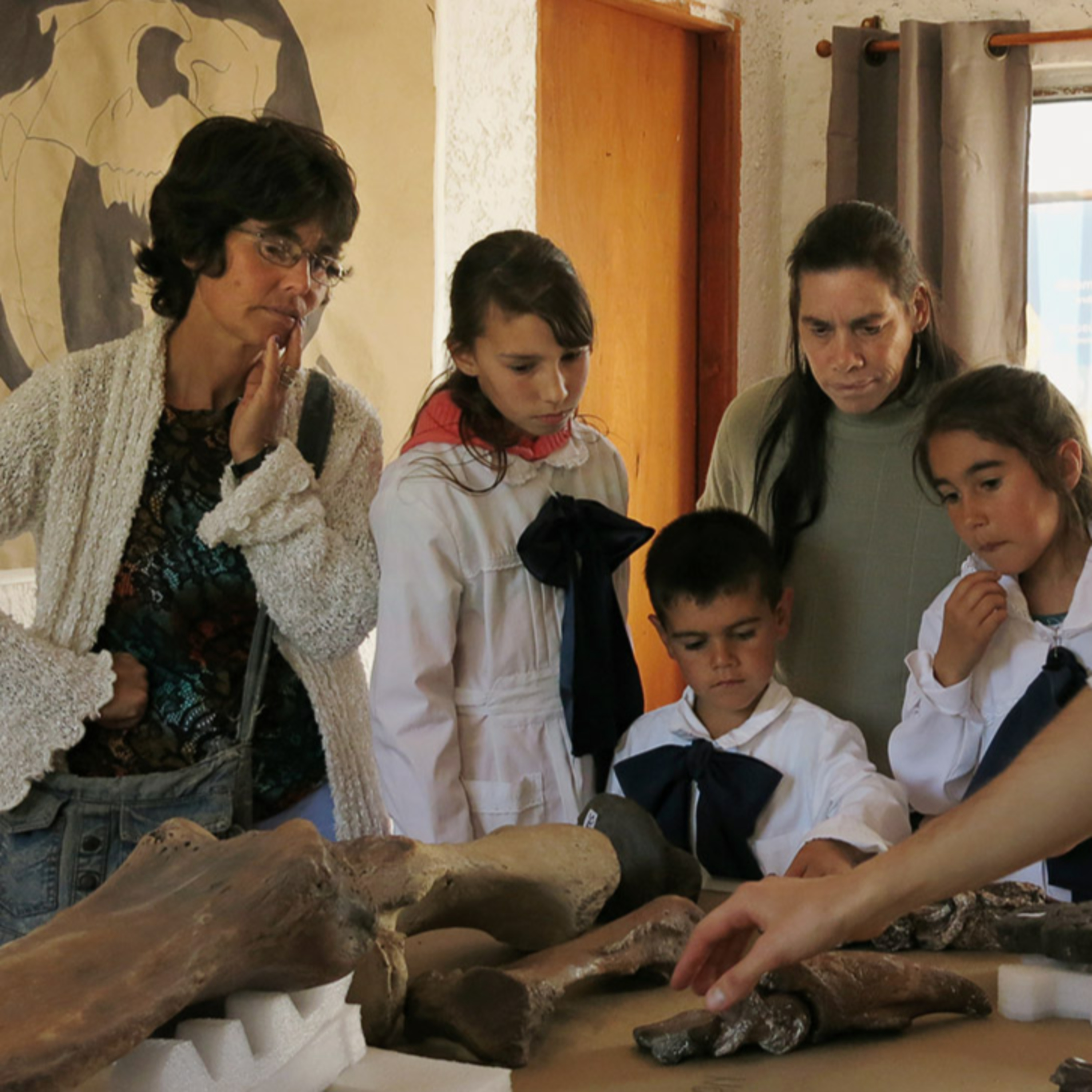 📢Entrevista al investigador Richard Fariña (Facultad de Ciencias, UdelaR) ✅Se inauguró laboratorio y repositorio para hallazgos de restos de megafauna de "Arroyo del Vizcaíno" (Sauce - Canelones)