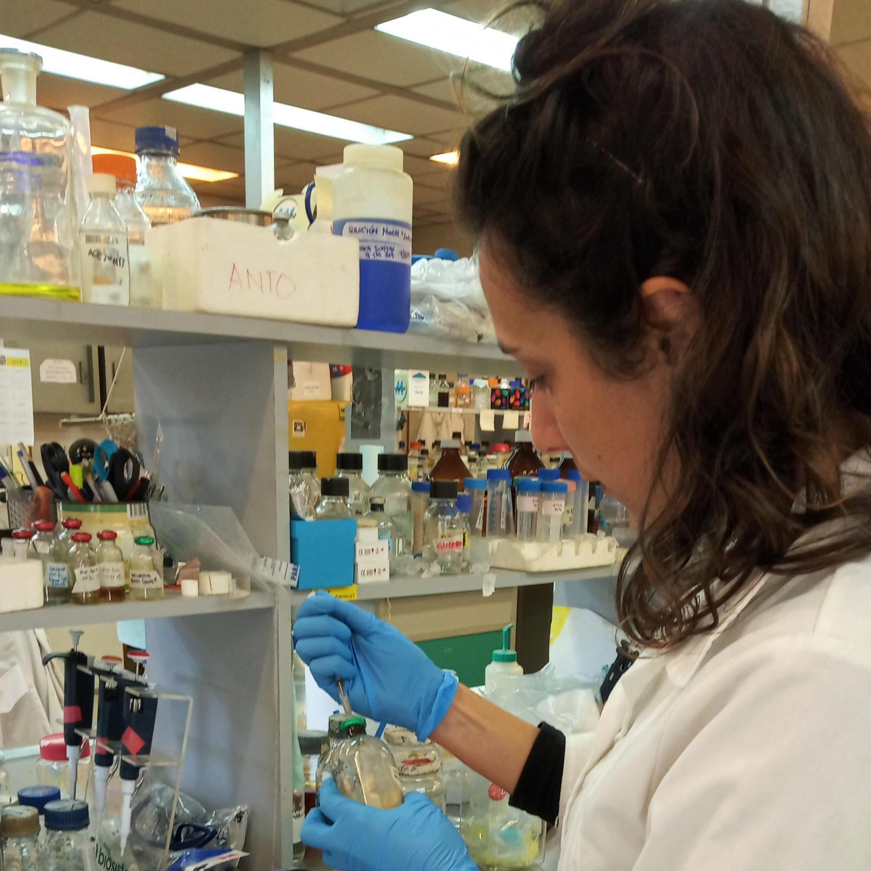 SobreCiencia (Uruguay)