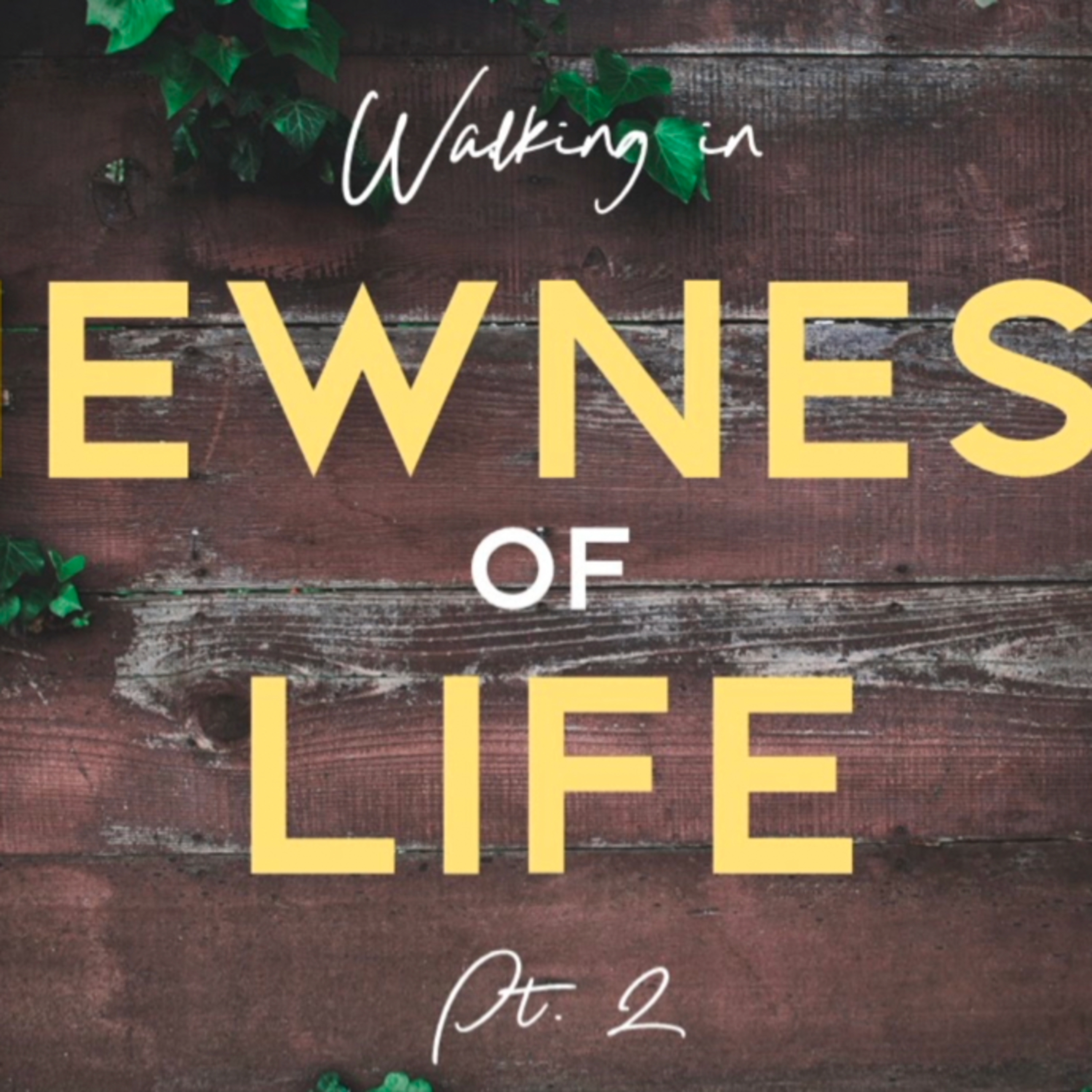 Walking in Newness of Life Pt. 2 episode artwork