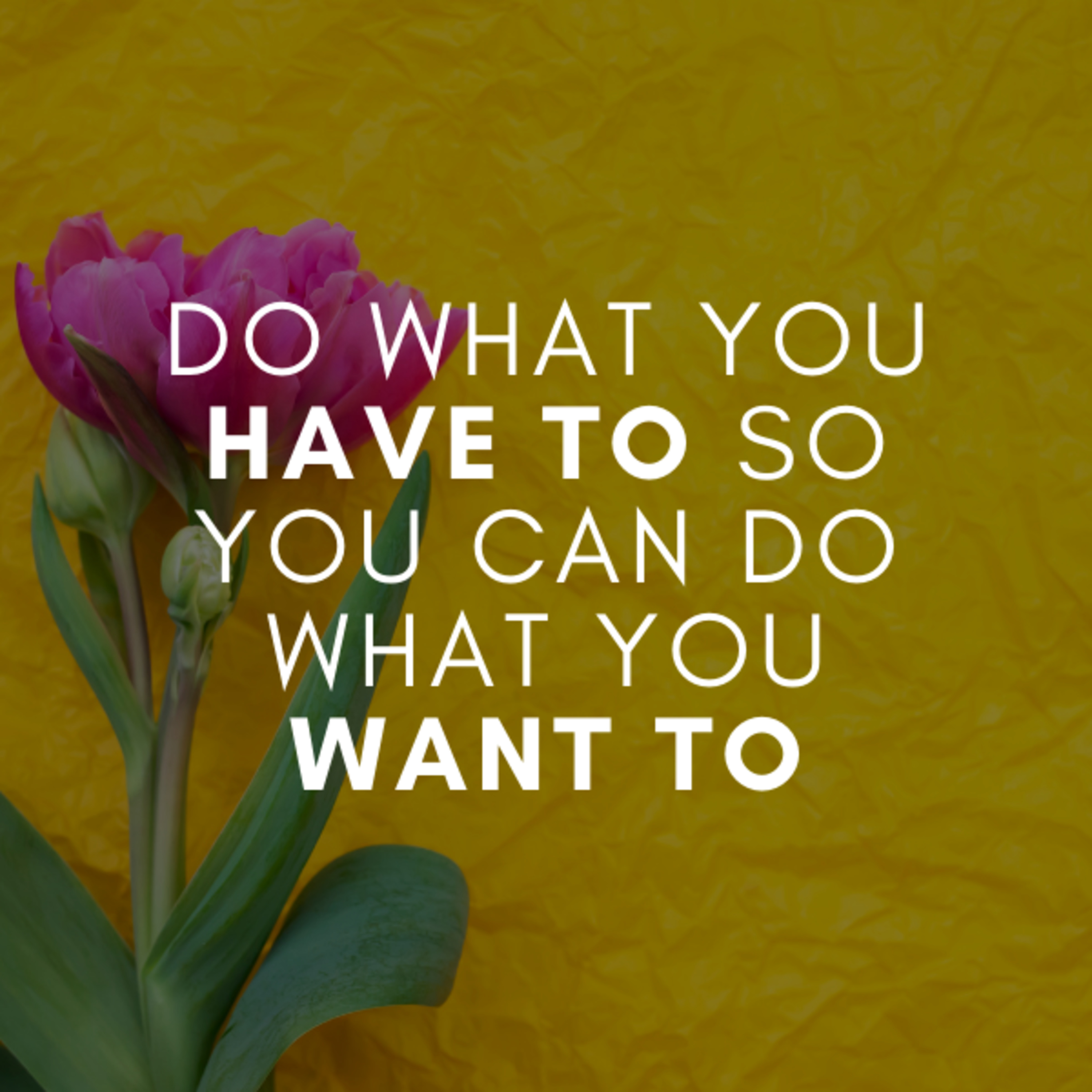 Do what you HAVE TO so you can do what you WANT TO