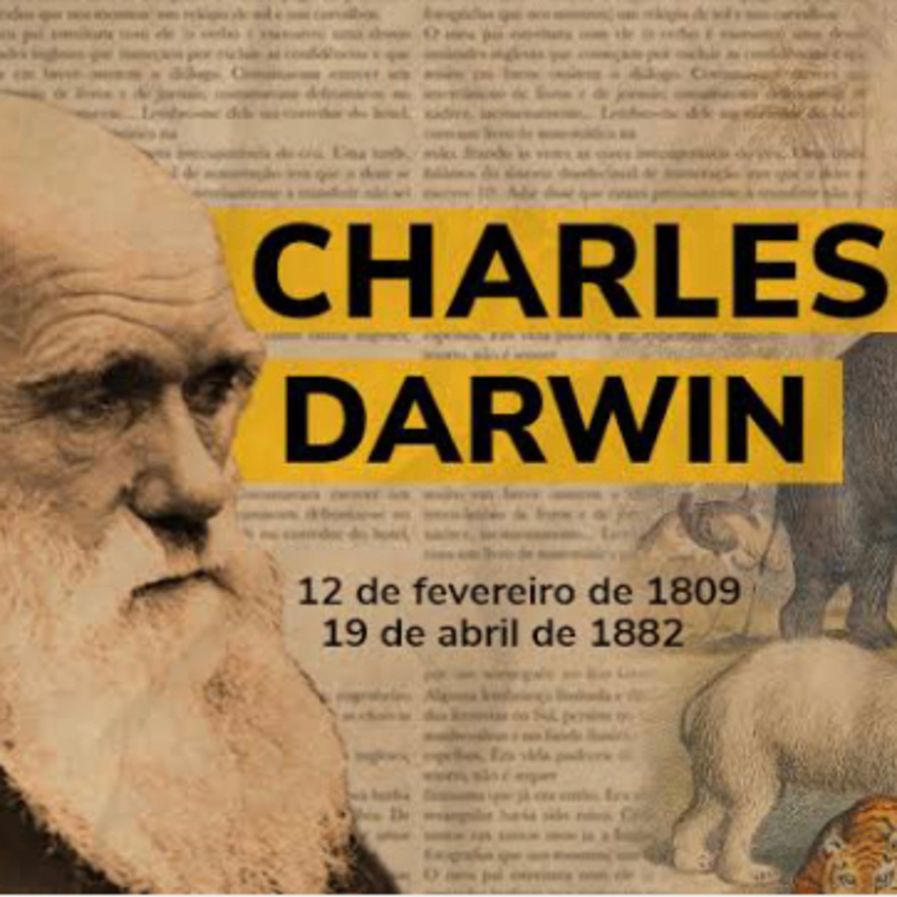 Darwin e a evolução 