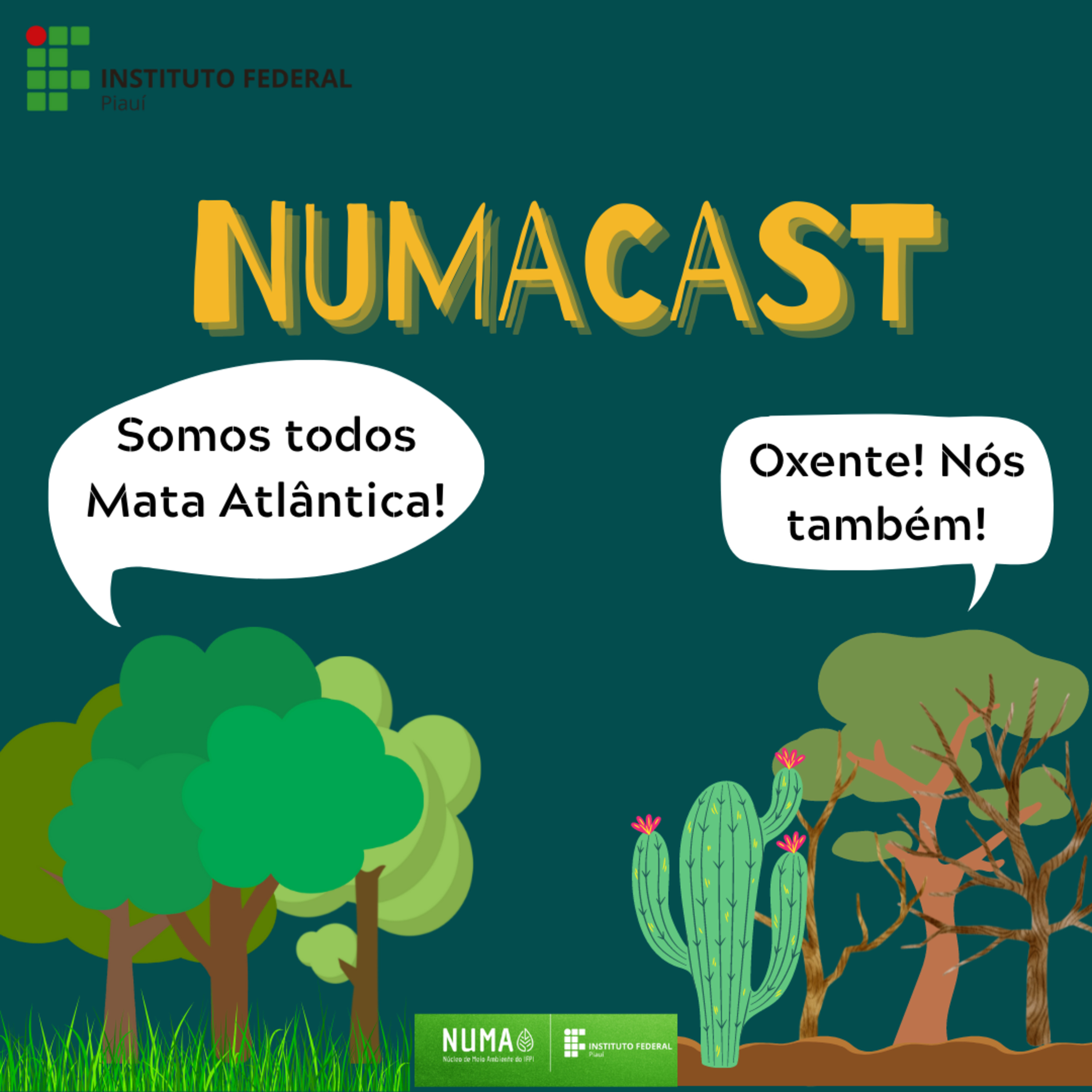 NUMAcast