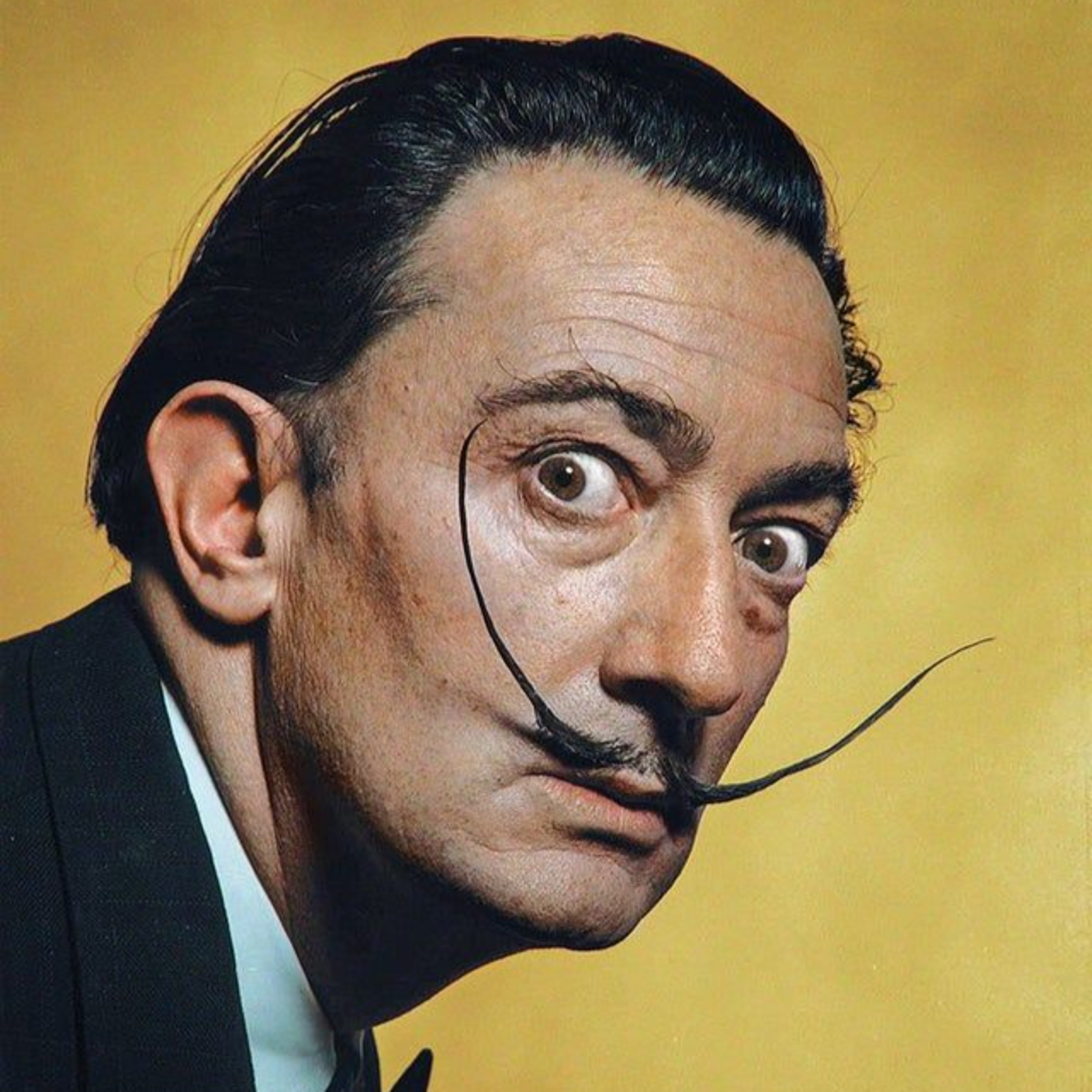 Salvador Dalí 1 episode artwork
