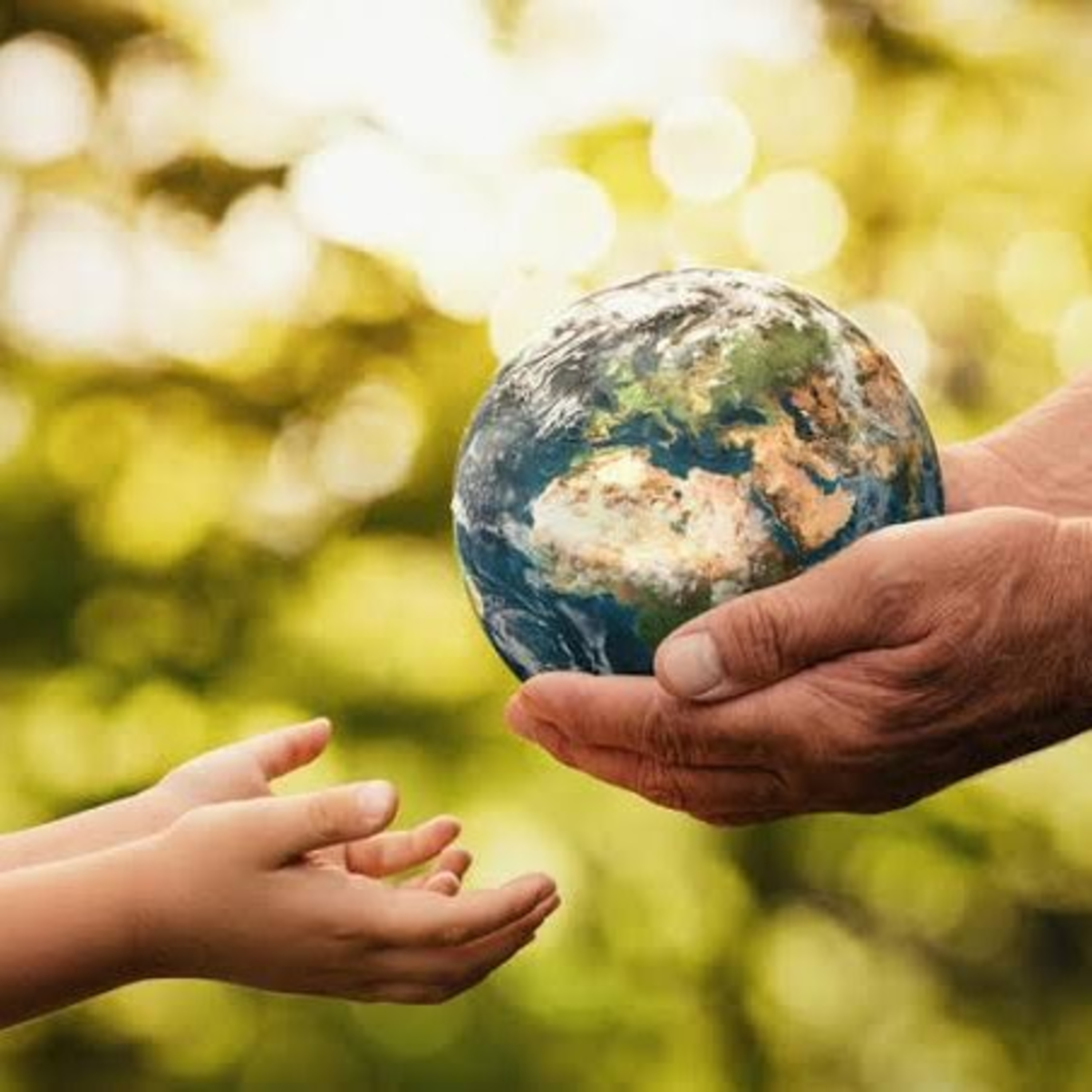 La contaminación del aire en la salud y el ambiente