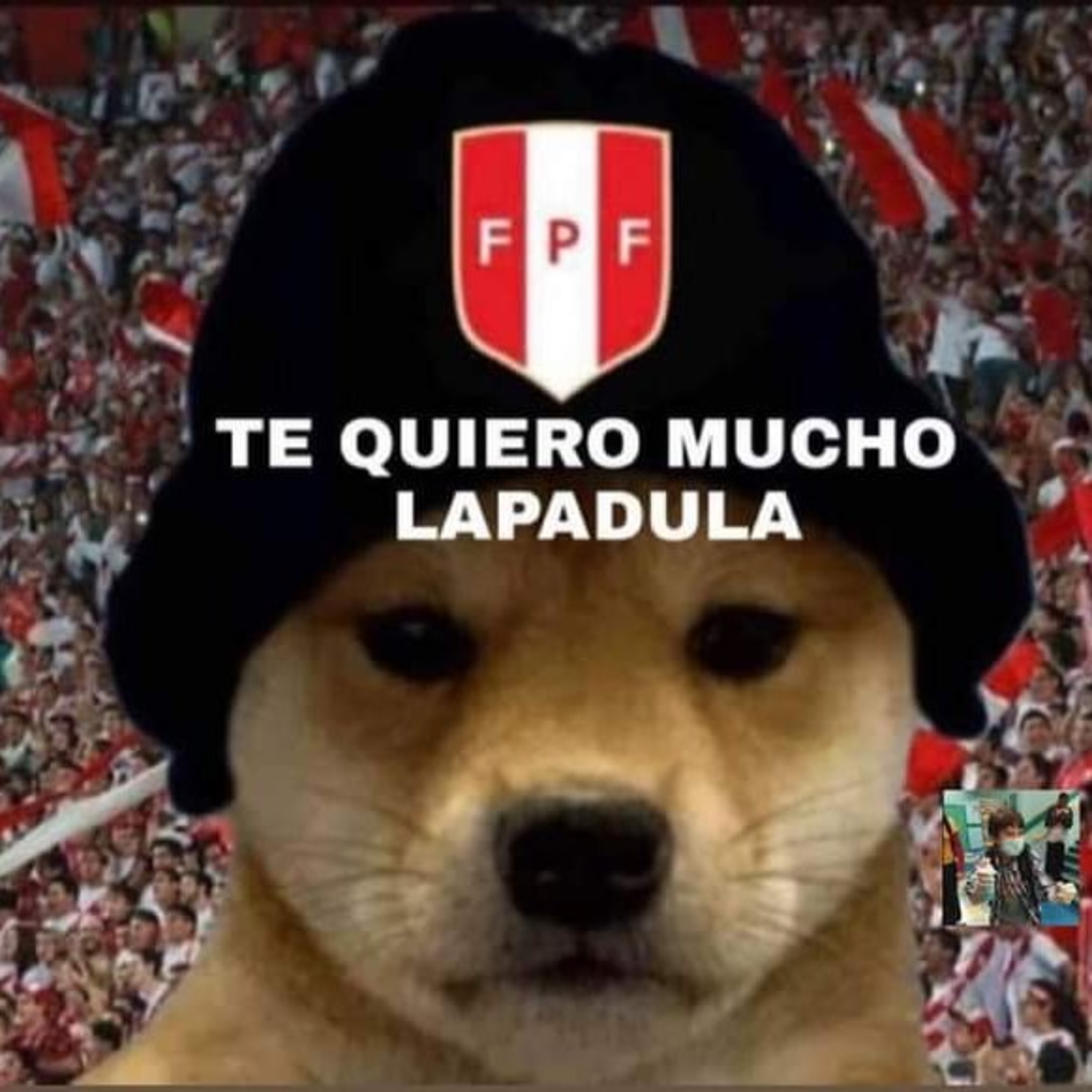 Bichología