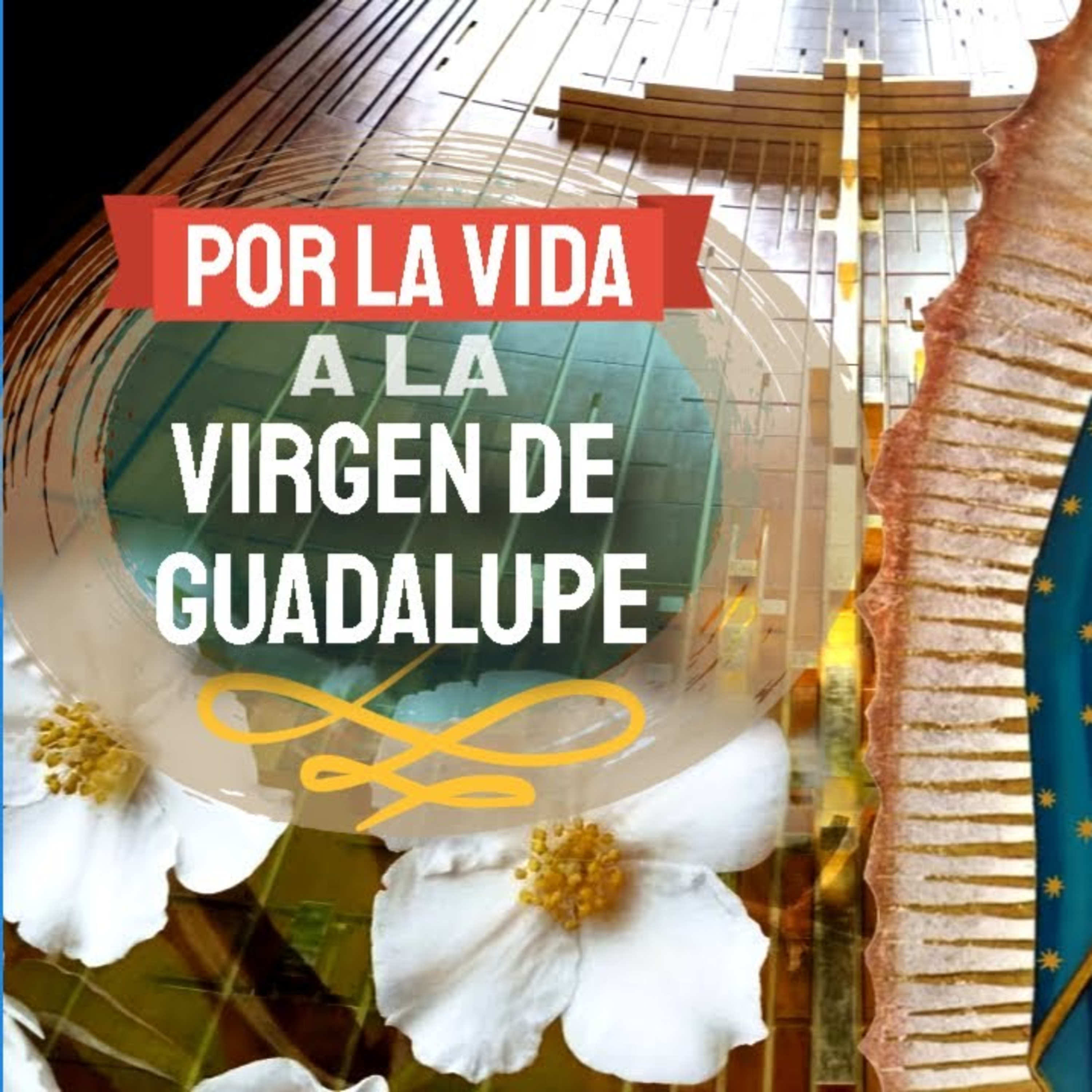 Tiempo de decisión en Misión de Amor