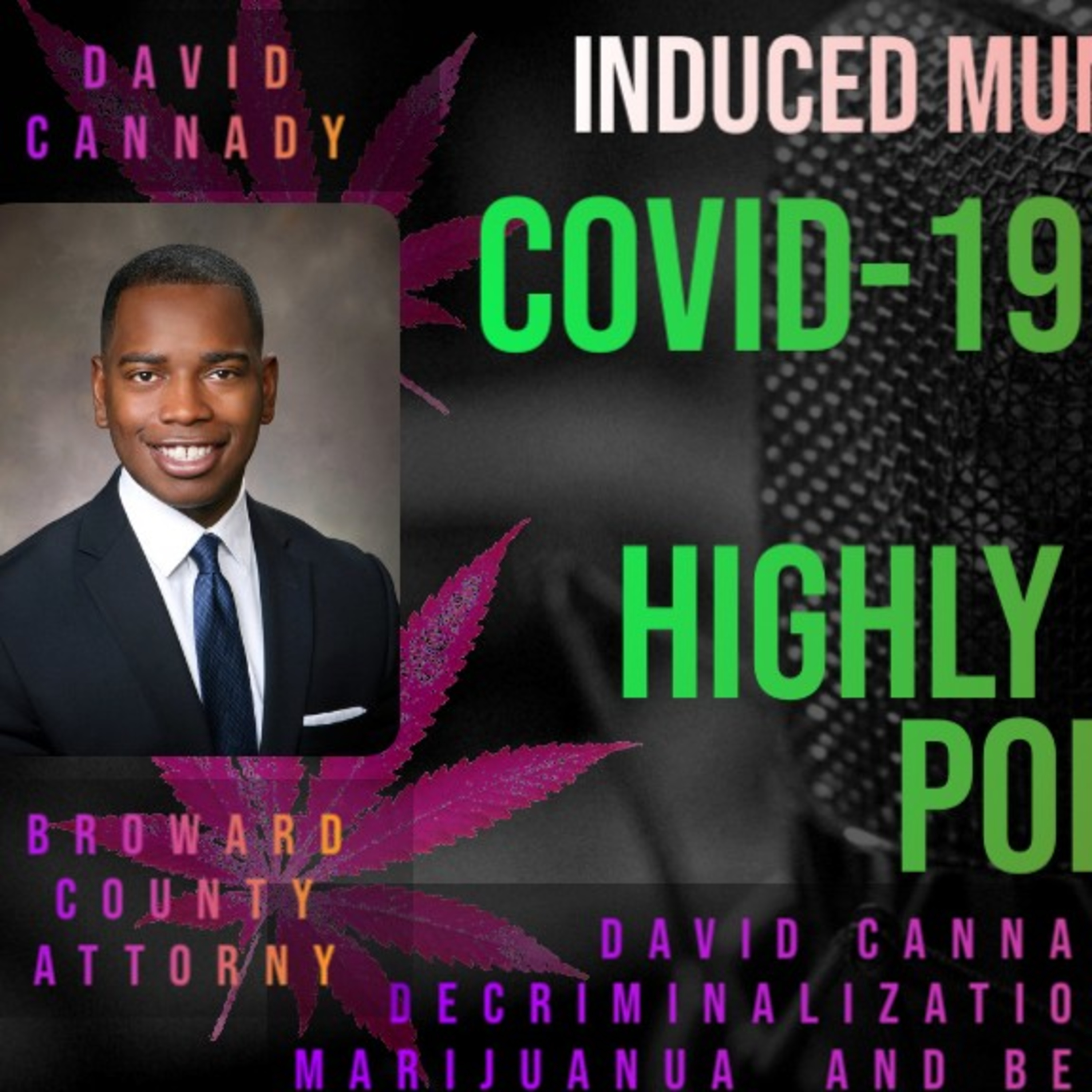 Highly Educated: Above The Law with Attorney David Cannady episode artwork