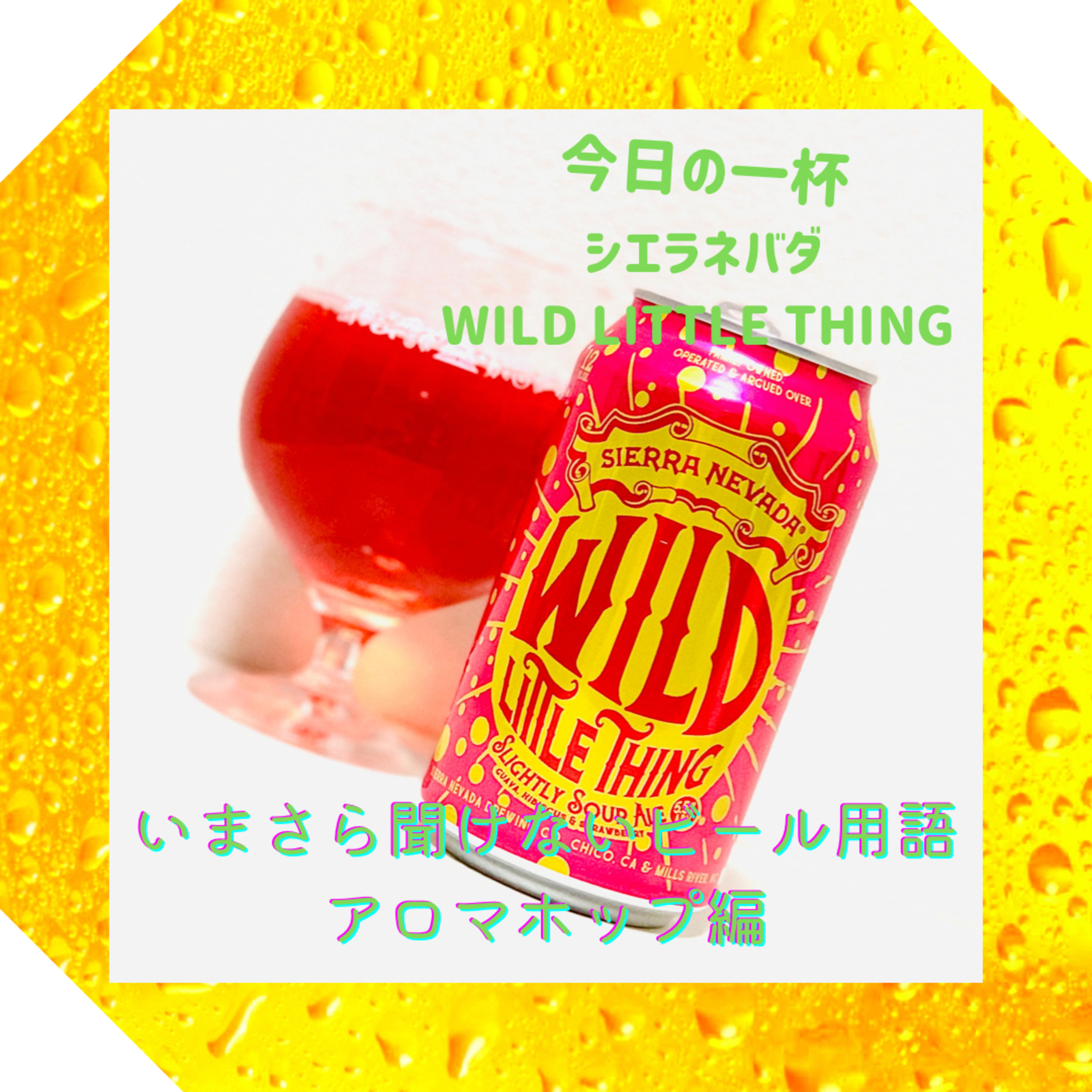 いまさら聞けないビール用語 アロマホップ編