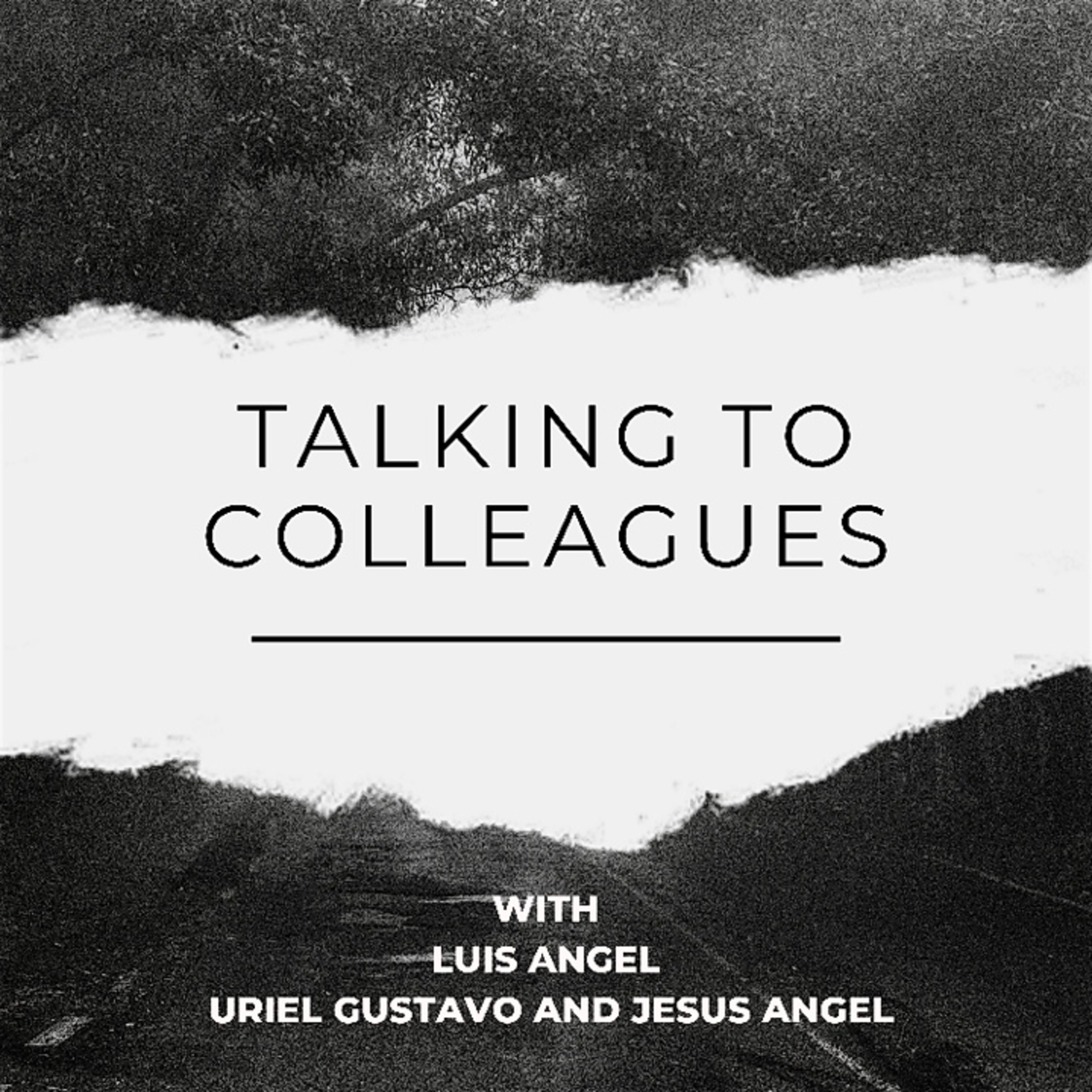 TALKING TO COLLEAGUES