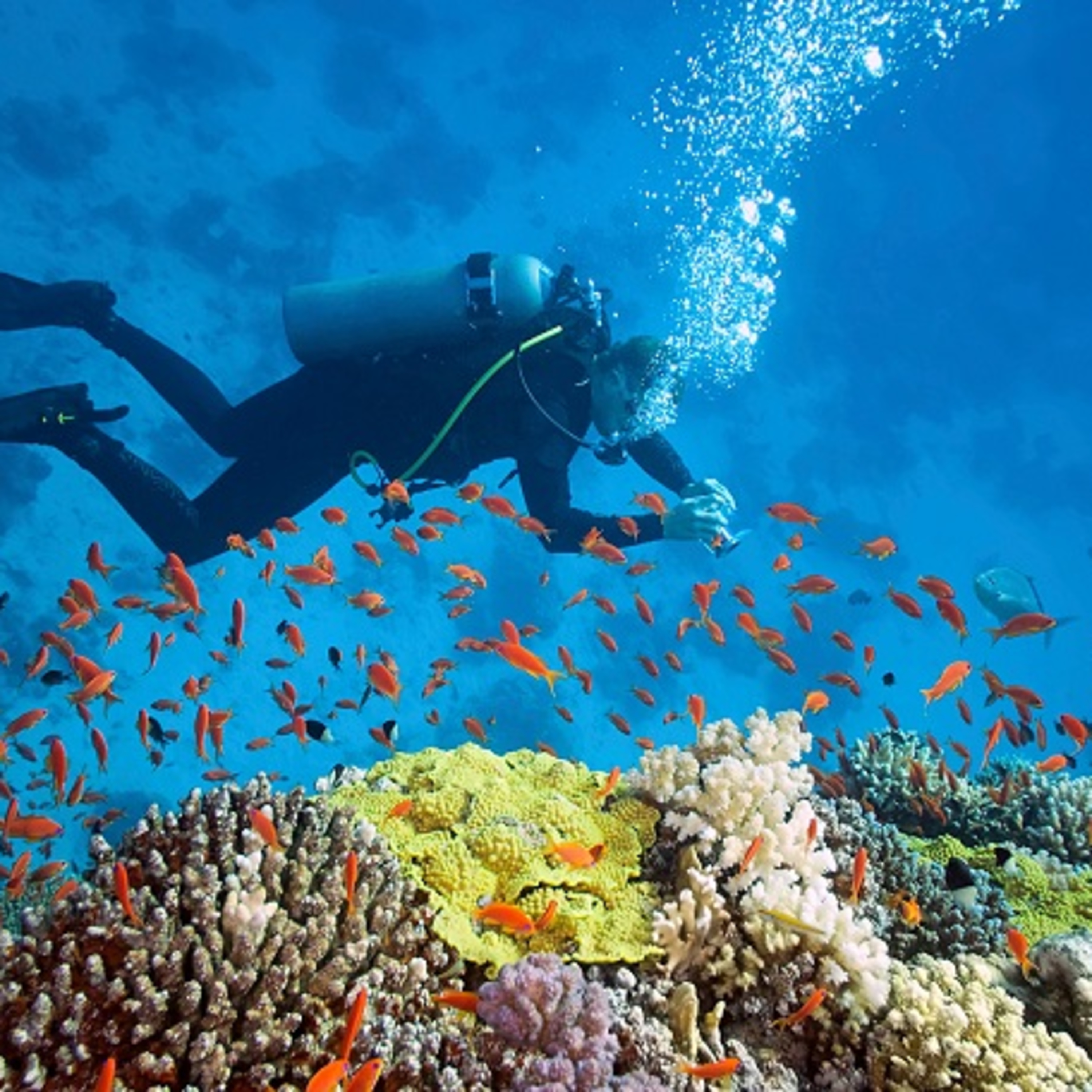 Dr. Boudrias: Deep Ocean Diving, Marine Biology & Environmental Education