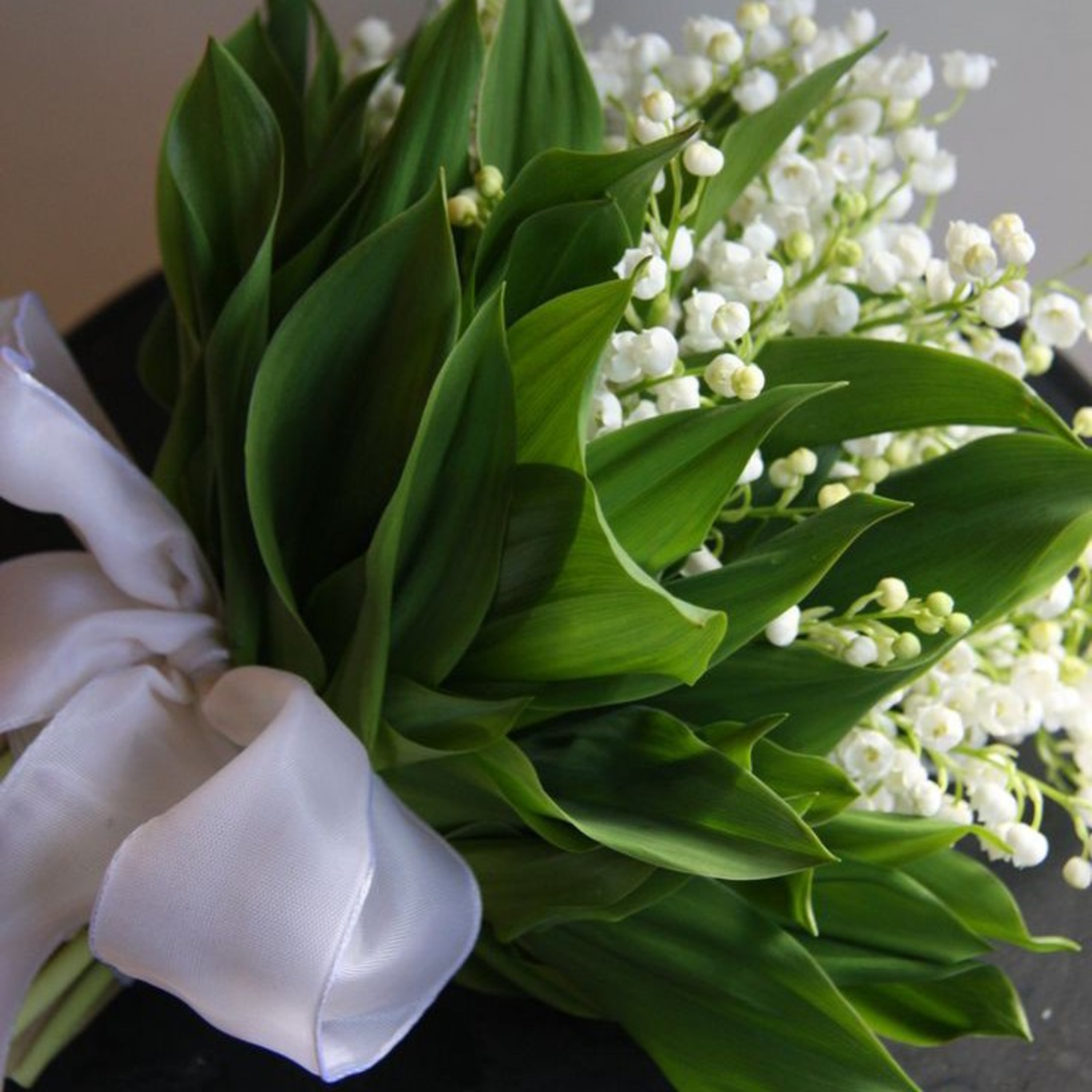 Lily Of The Valley