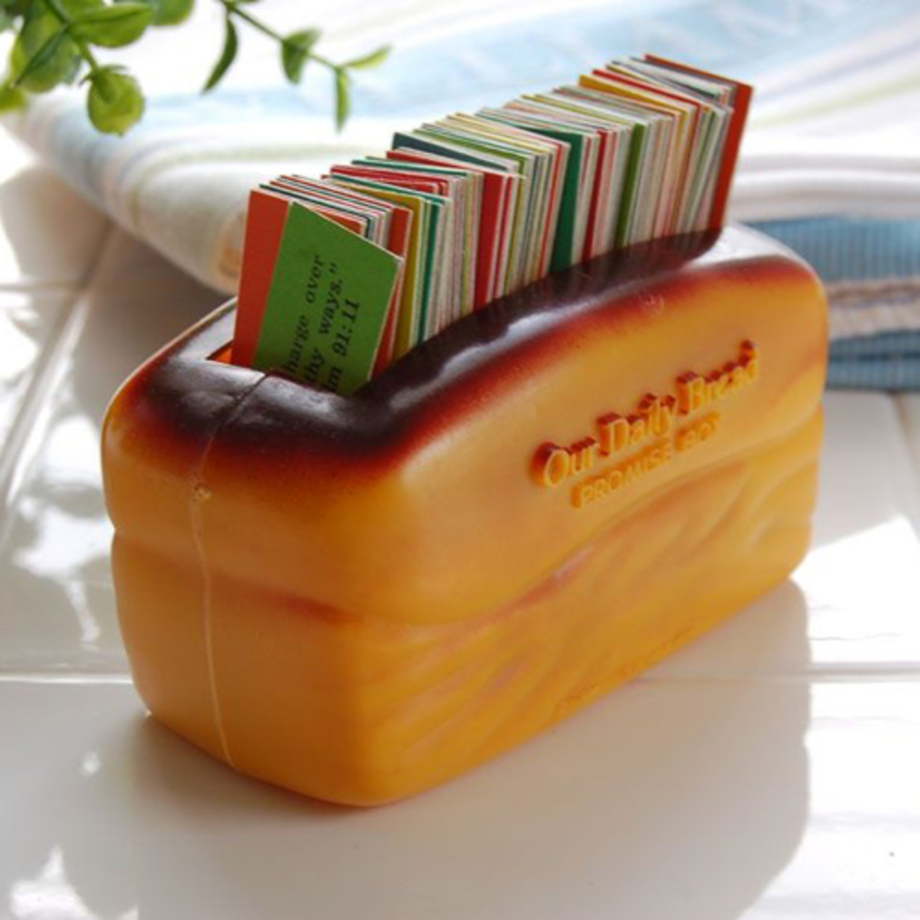 All The Things with Shana D