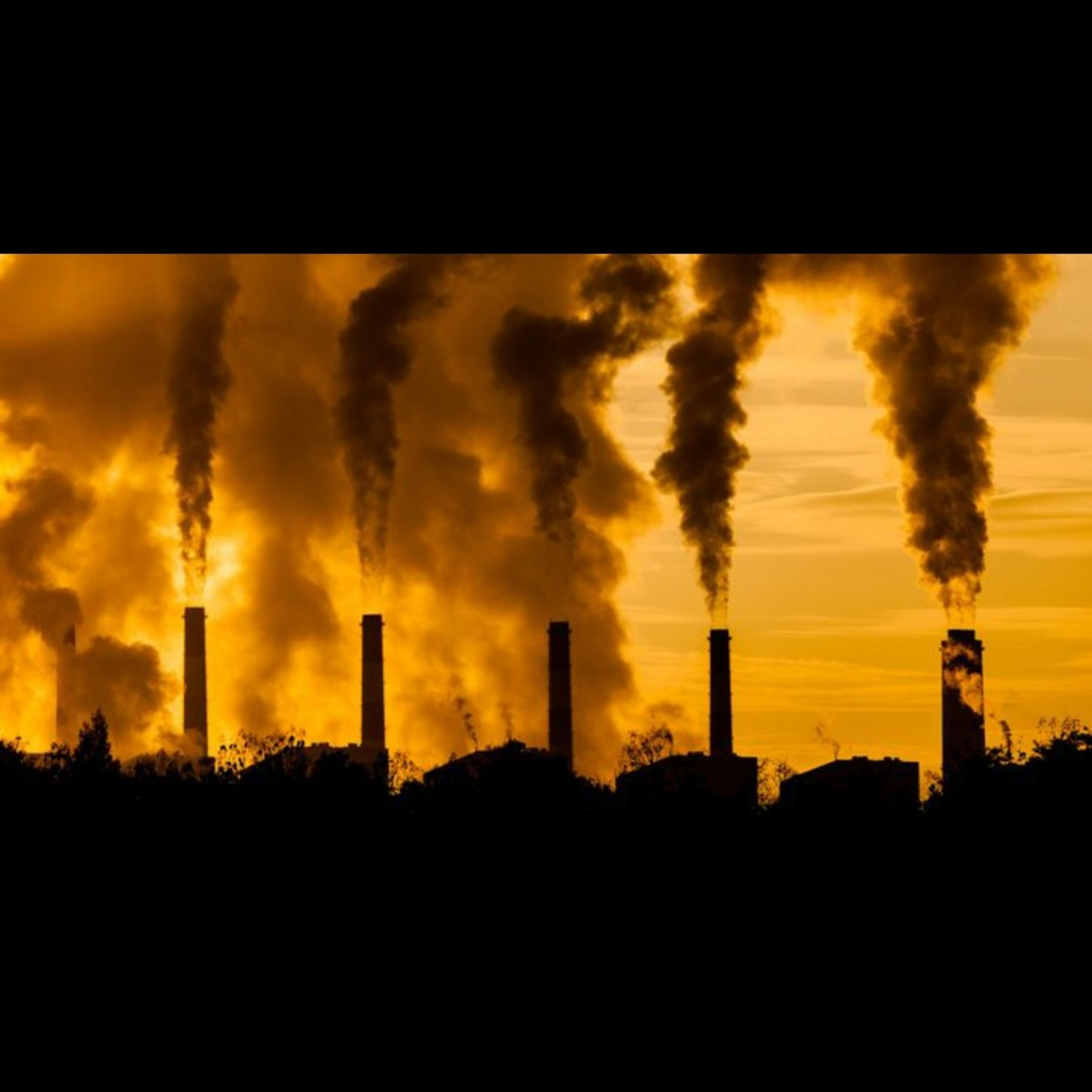 La contaminación del aire