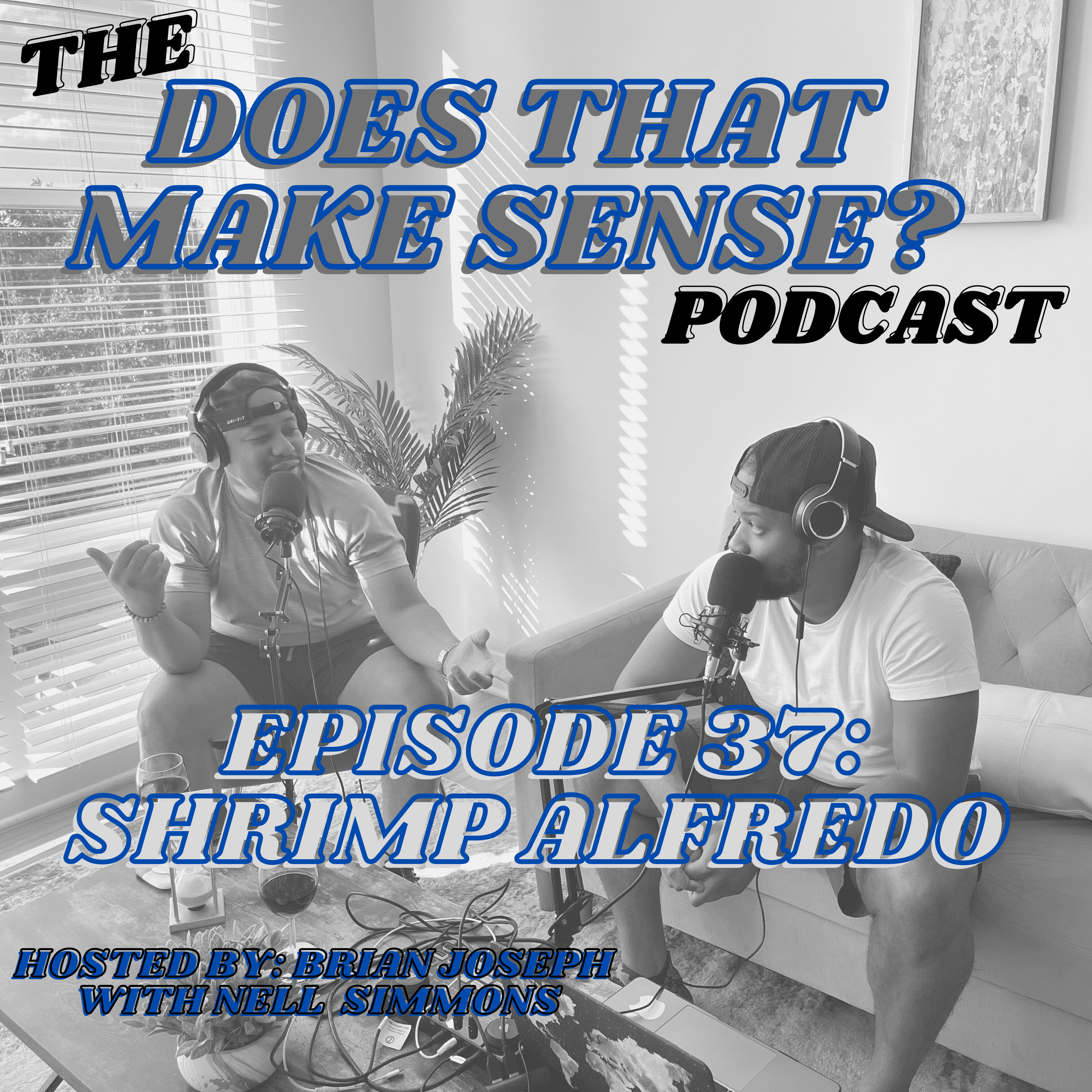 The Does That Make Sense Podcast