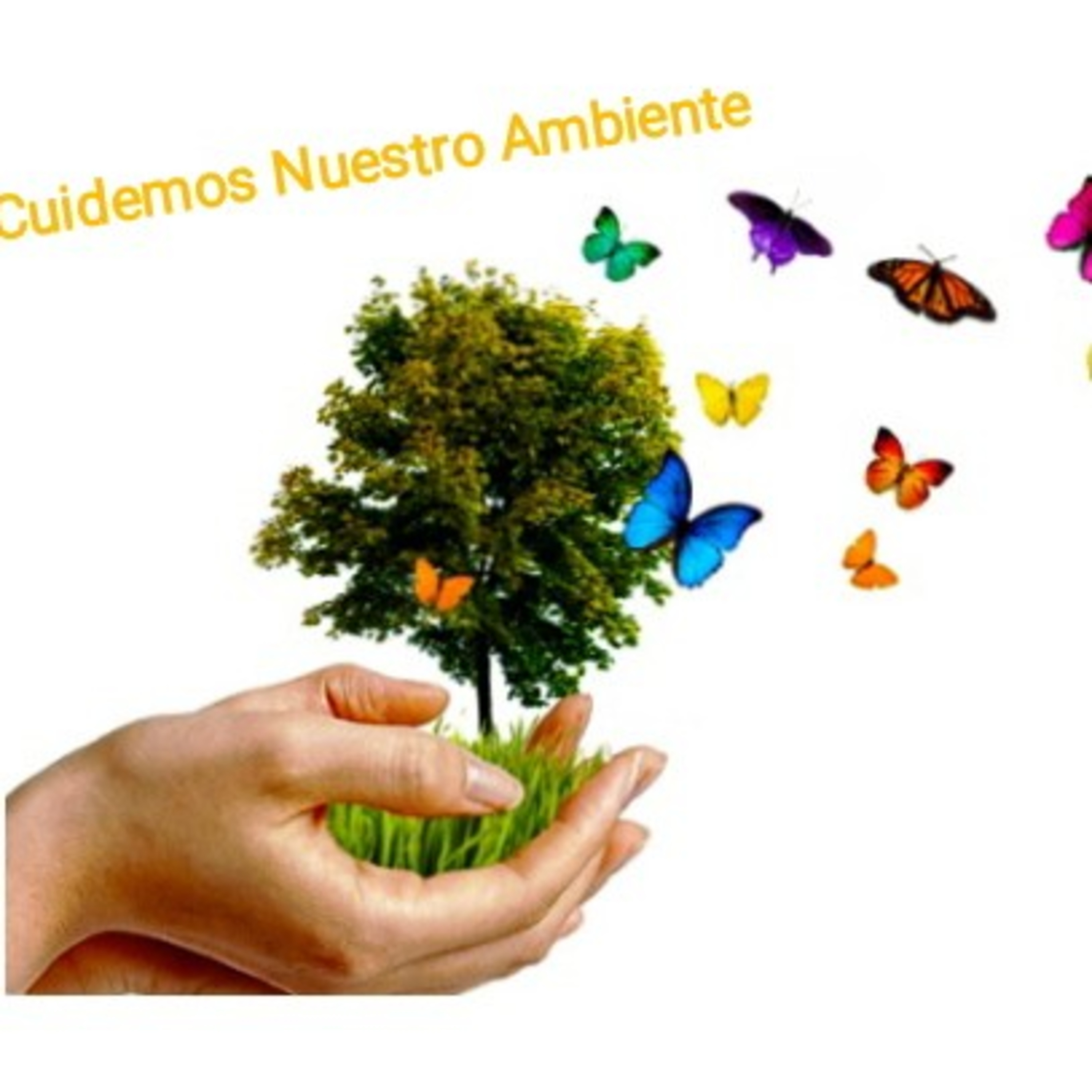 "La contaminación del aire" episode artwork