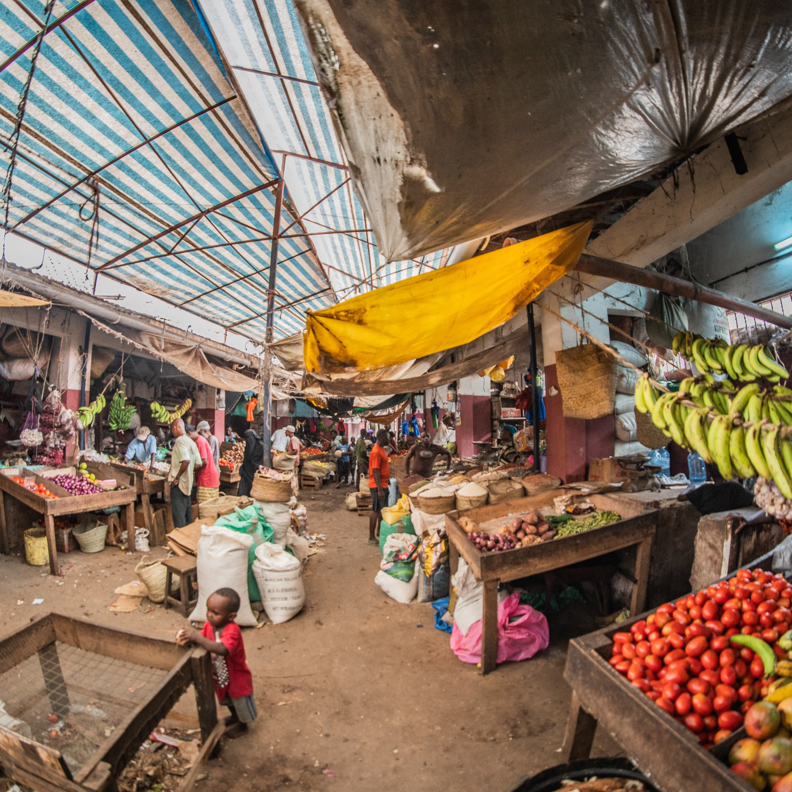 Travels off the Beaten Path