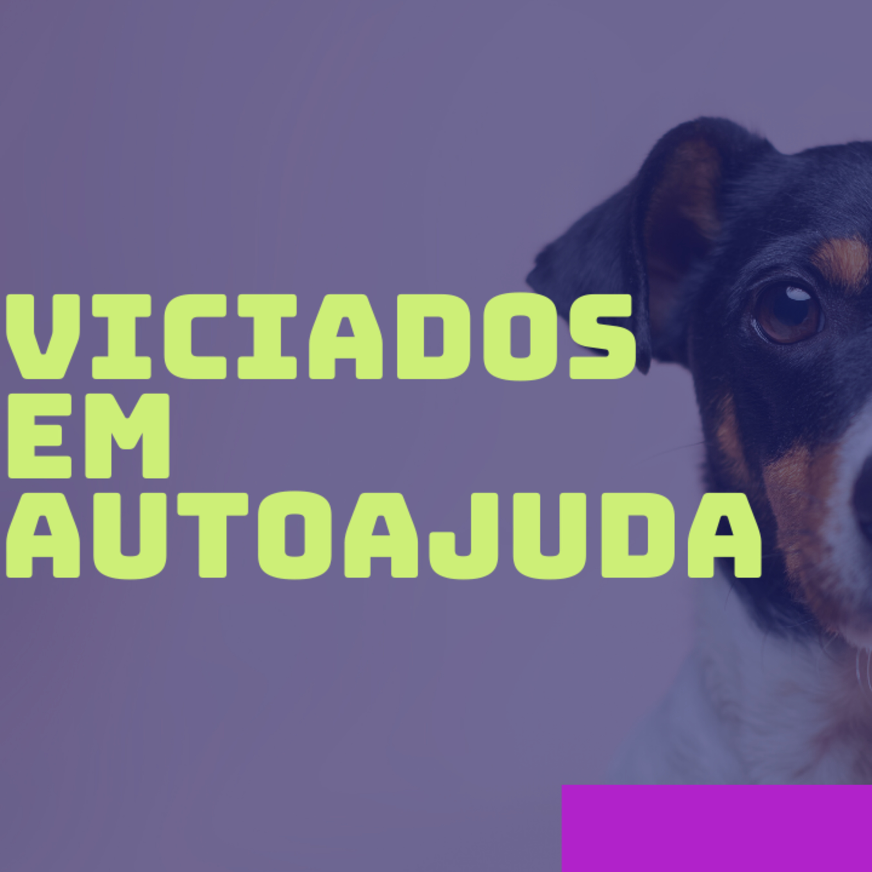 O Universo da Programação