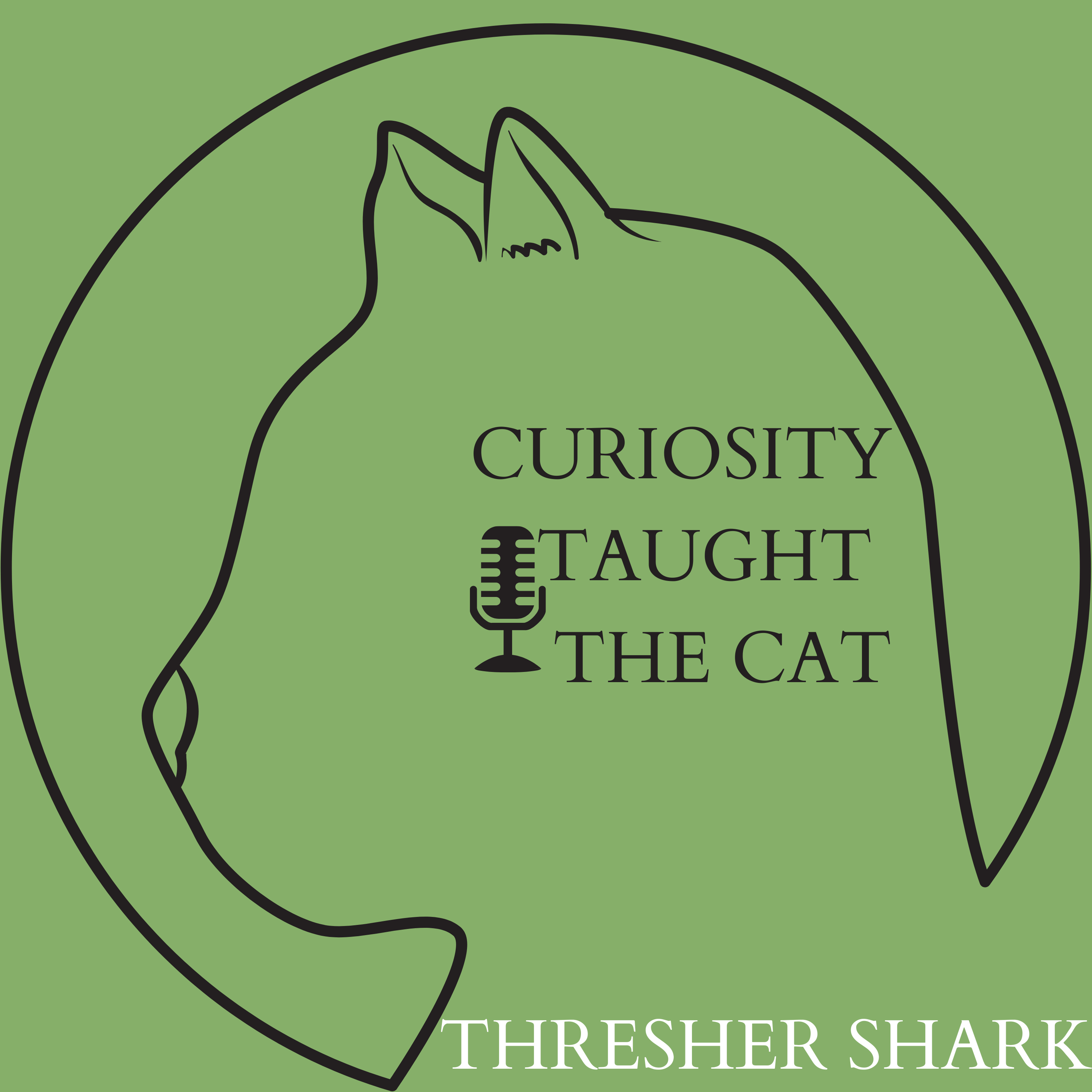 Episode 2 - Thresher Shark episode artwork