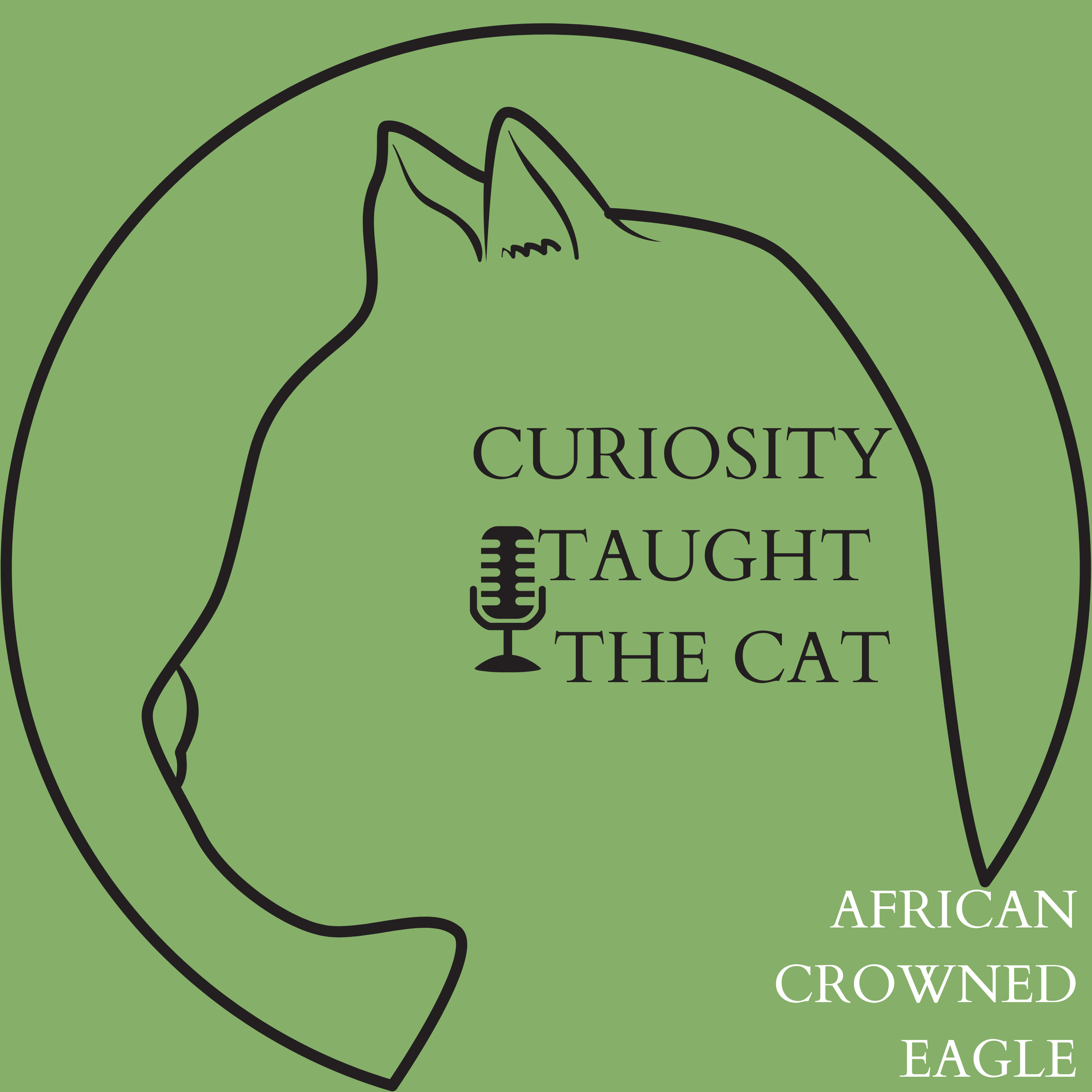 Episode 4 - African Crowned Eagle episode artwork
