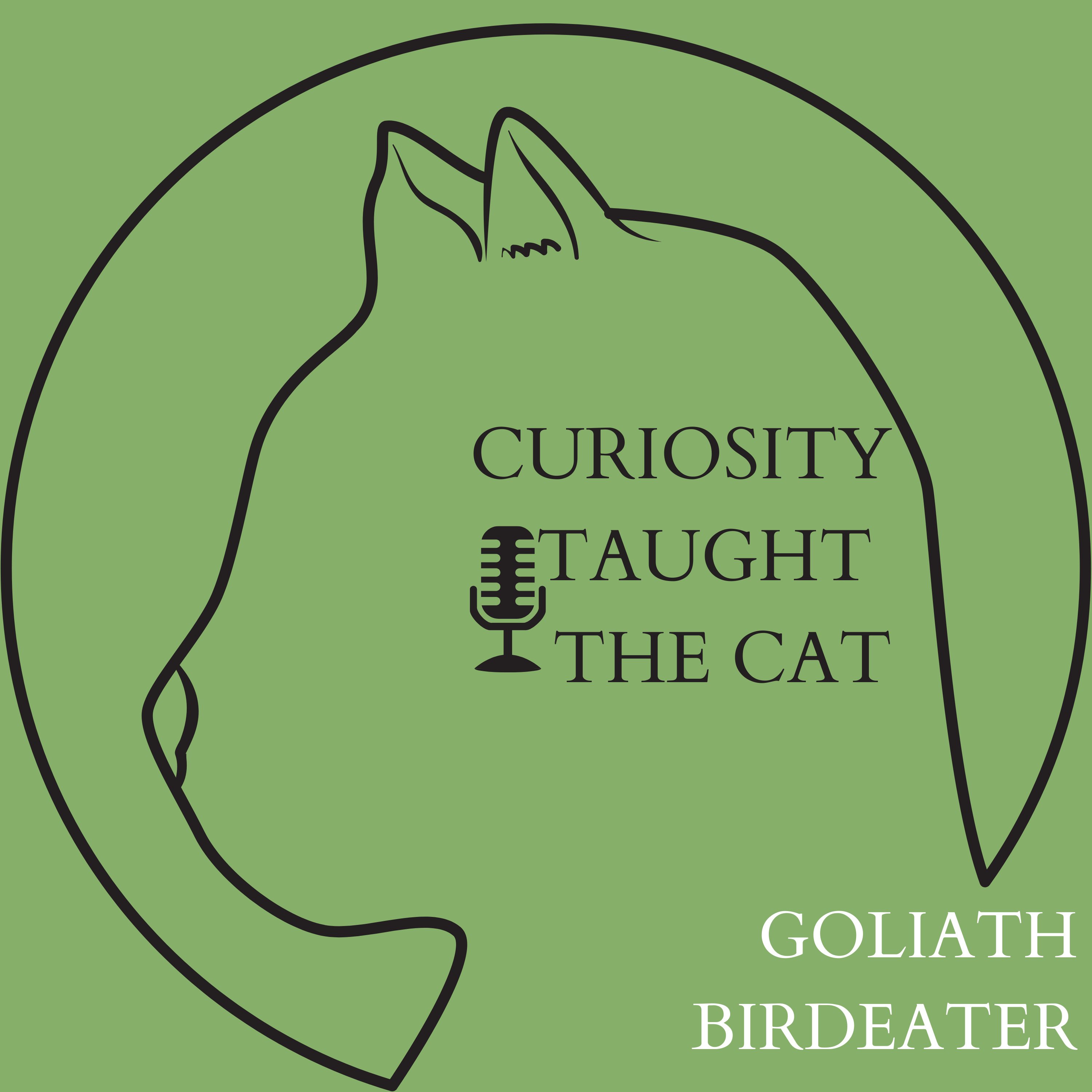 Episode 5 - Goliath Birdeater episode artwork