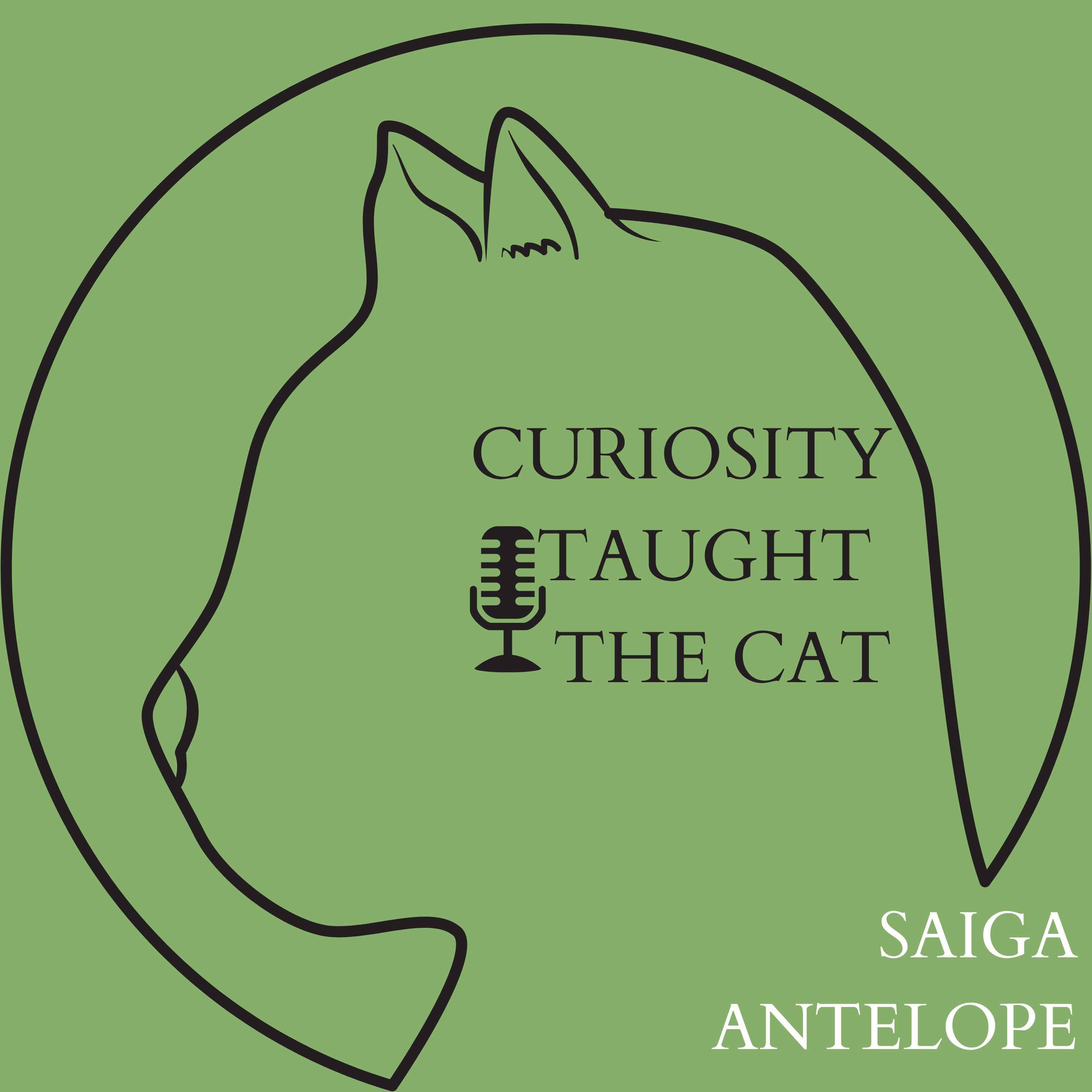 Episode 7 - Saiga Antelope episode artwork