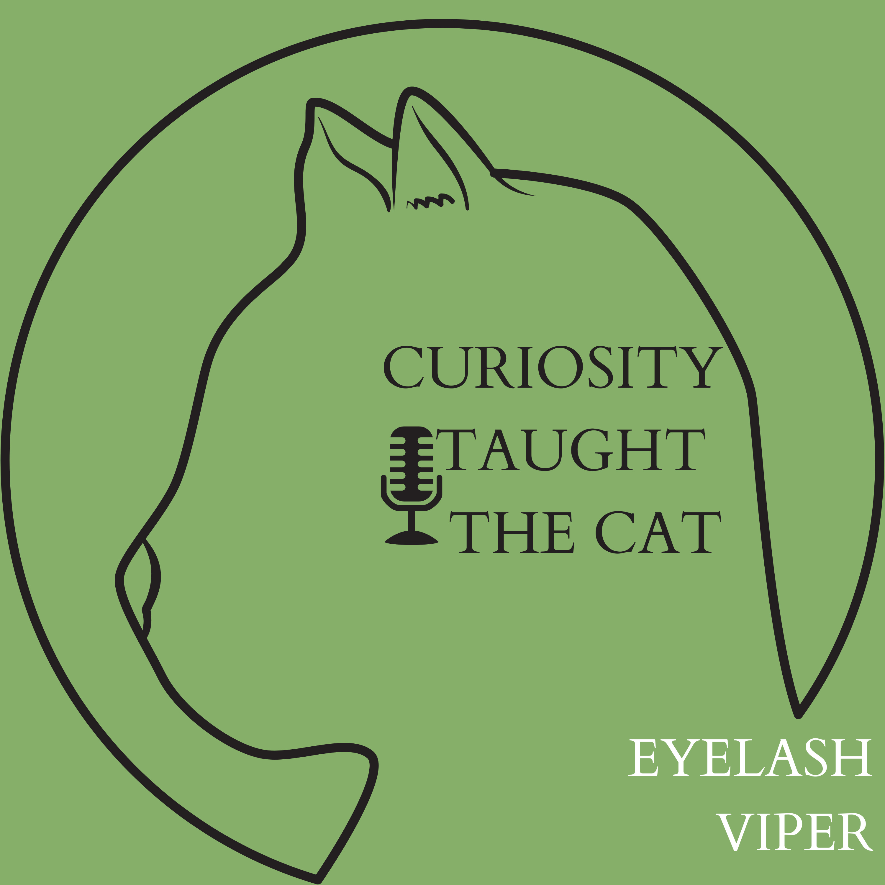 Episode 8 - Eyelash Viper episode artwork