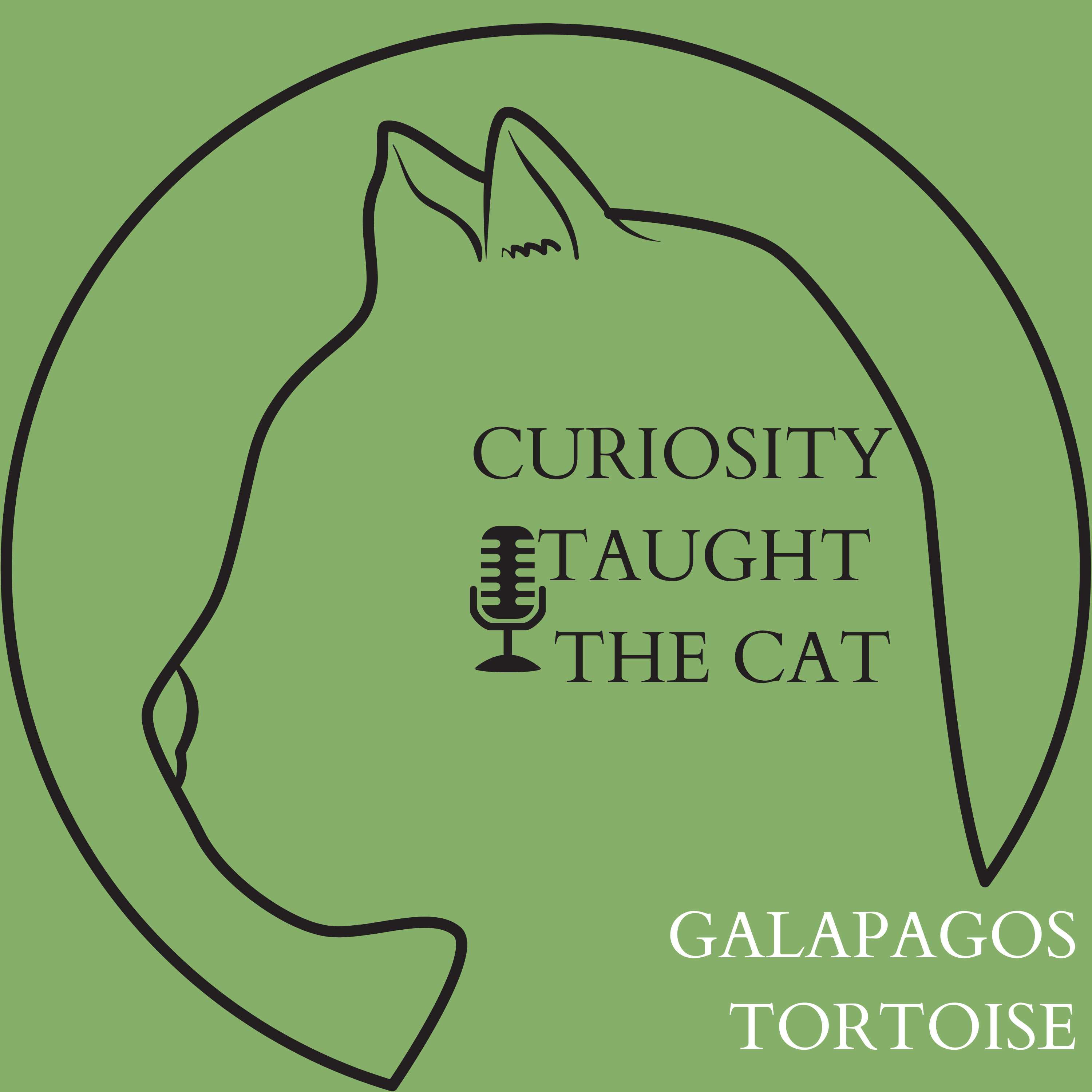 Episode 9 - Galapagos Tortoise episode artwork