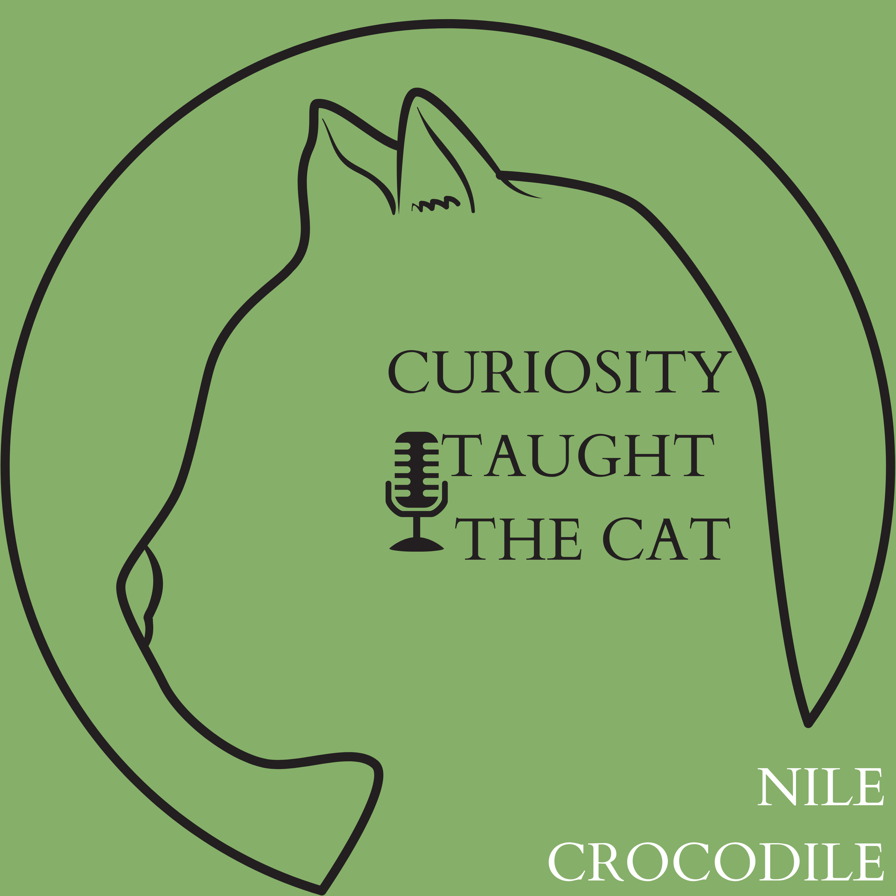 Episode 12 - Nile Crocodile episode artwork