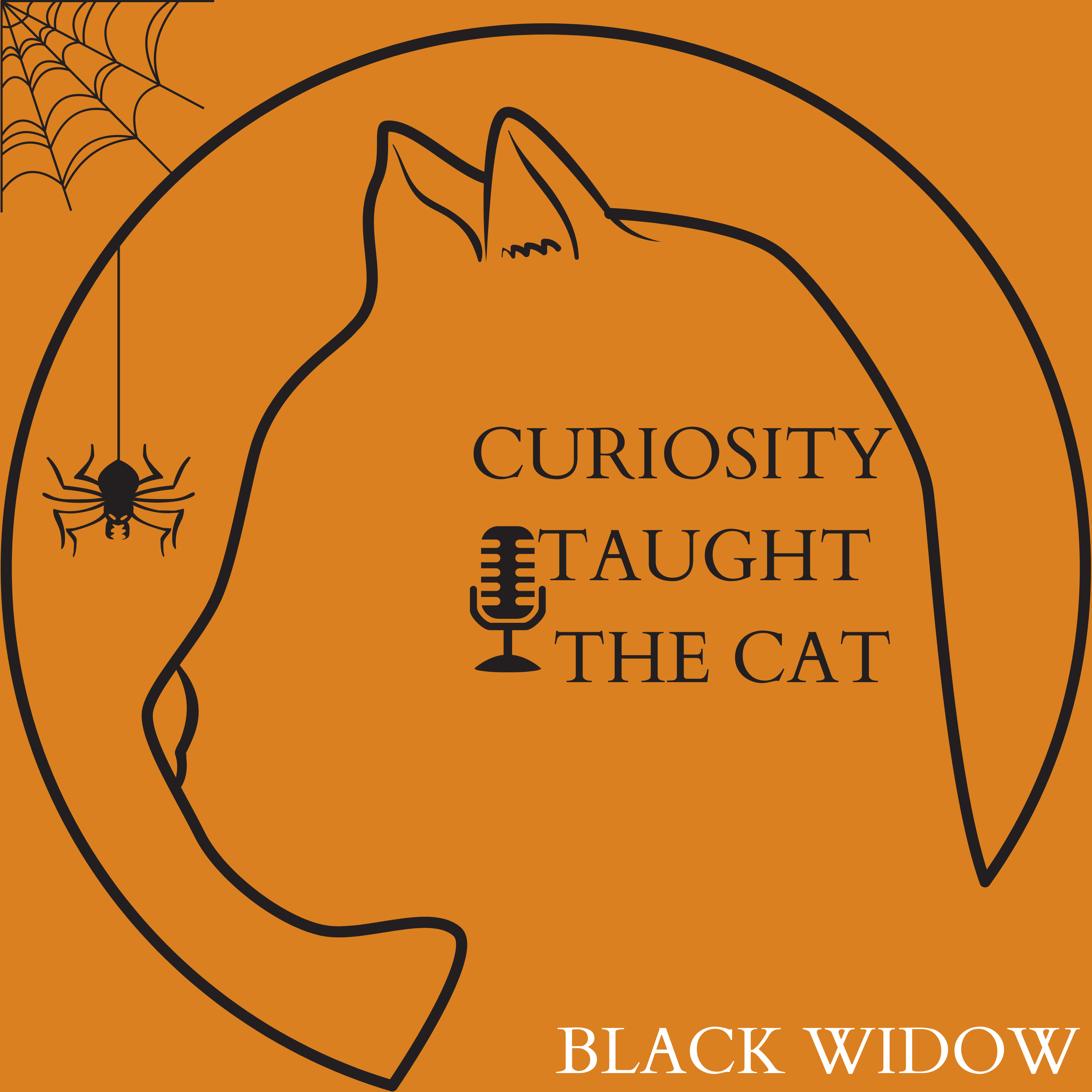 Episode 15 - Black Widow episode artwork