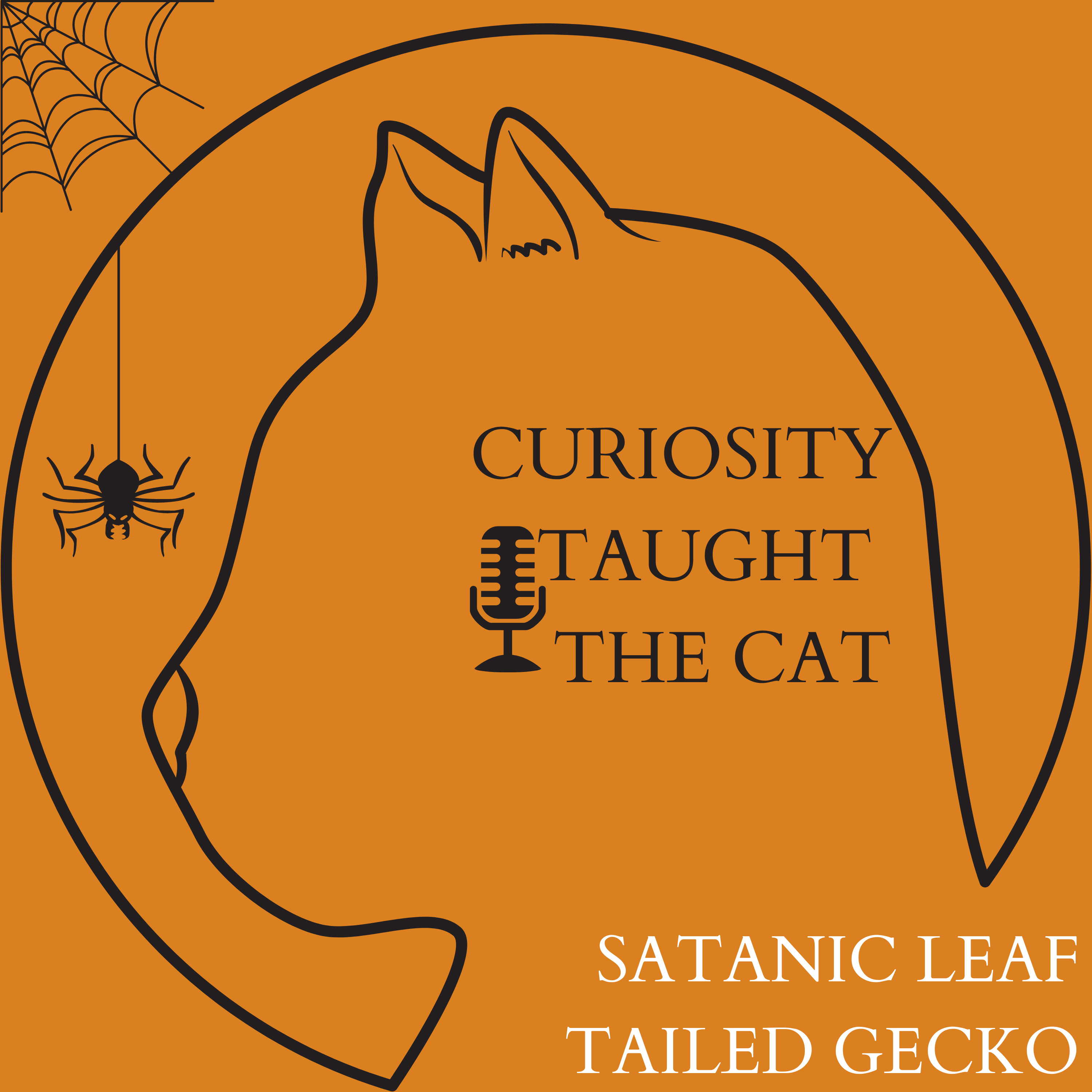 Episode 17 - Satanic Leaf Tailed Gecko episode artwork