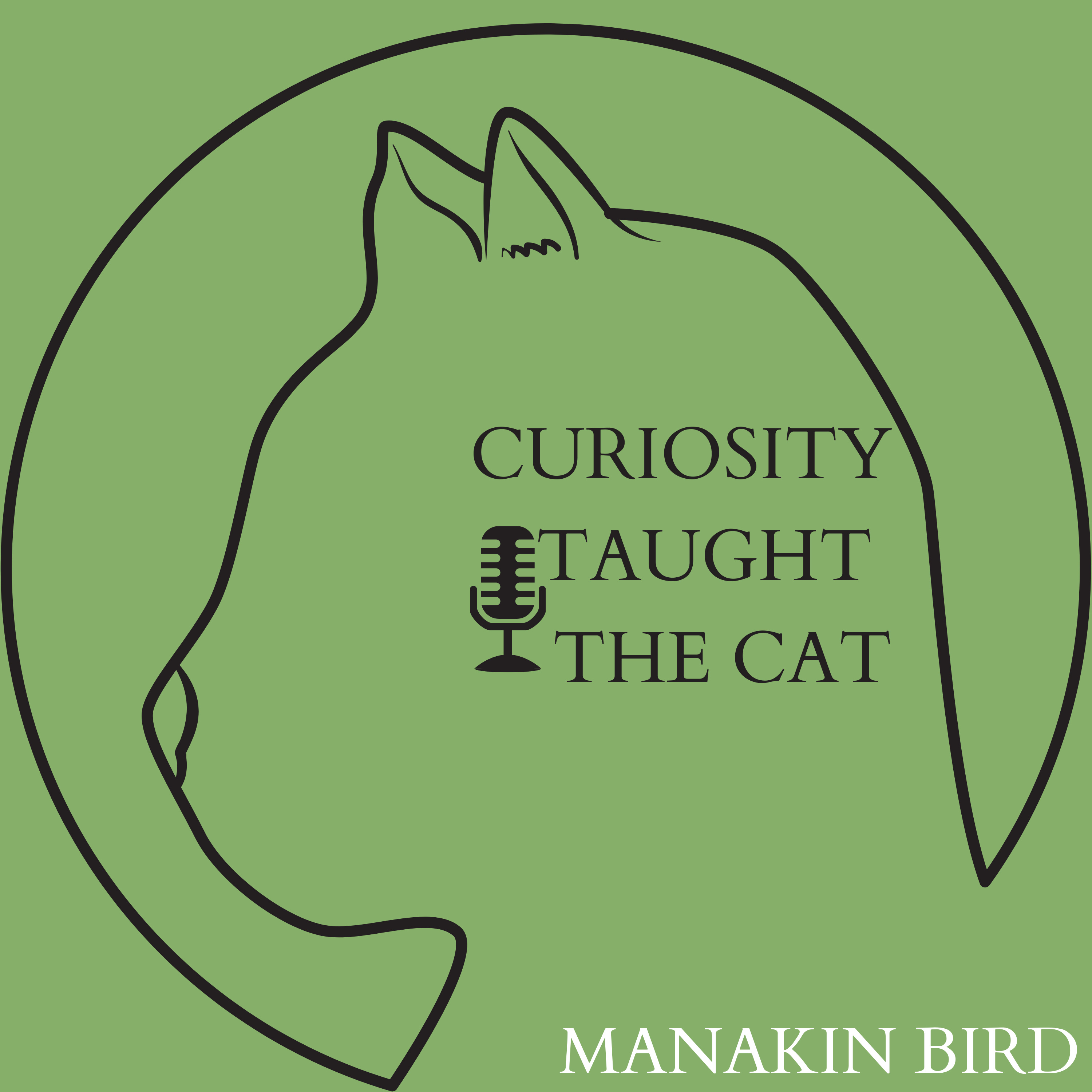 Episode 20 - Manakin Bird episode artwork