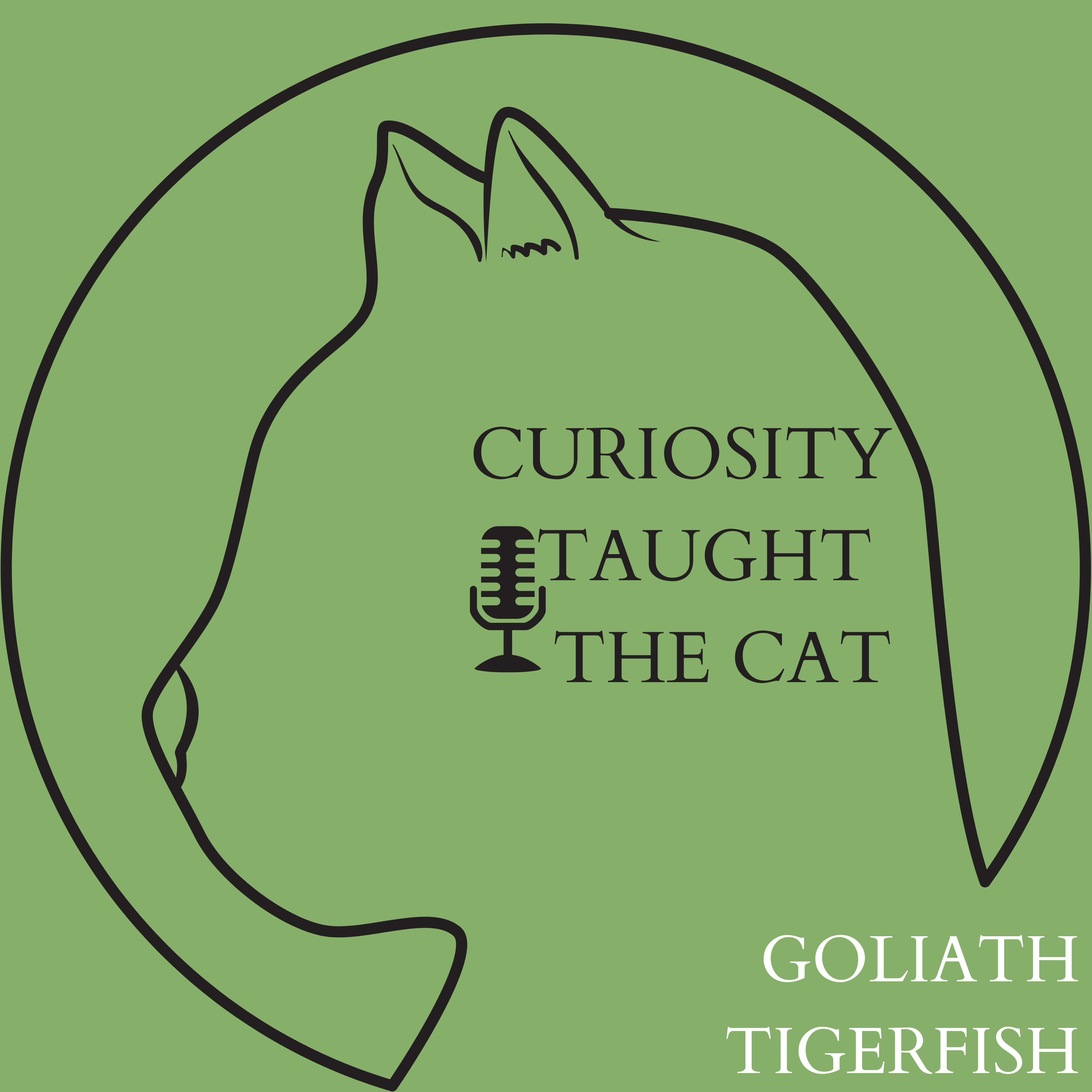 Episode 22 - Goliath Tigerfish episode artwork