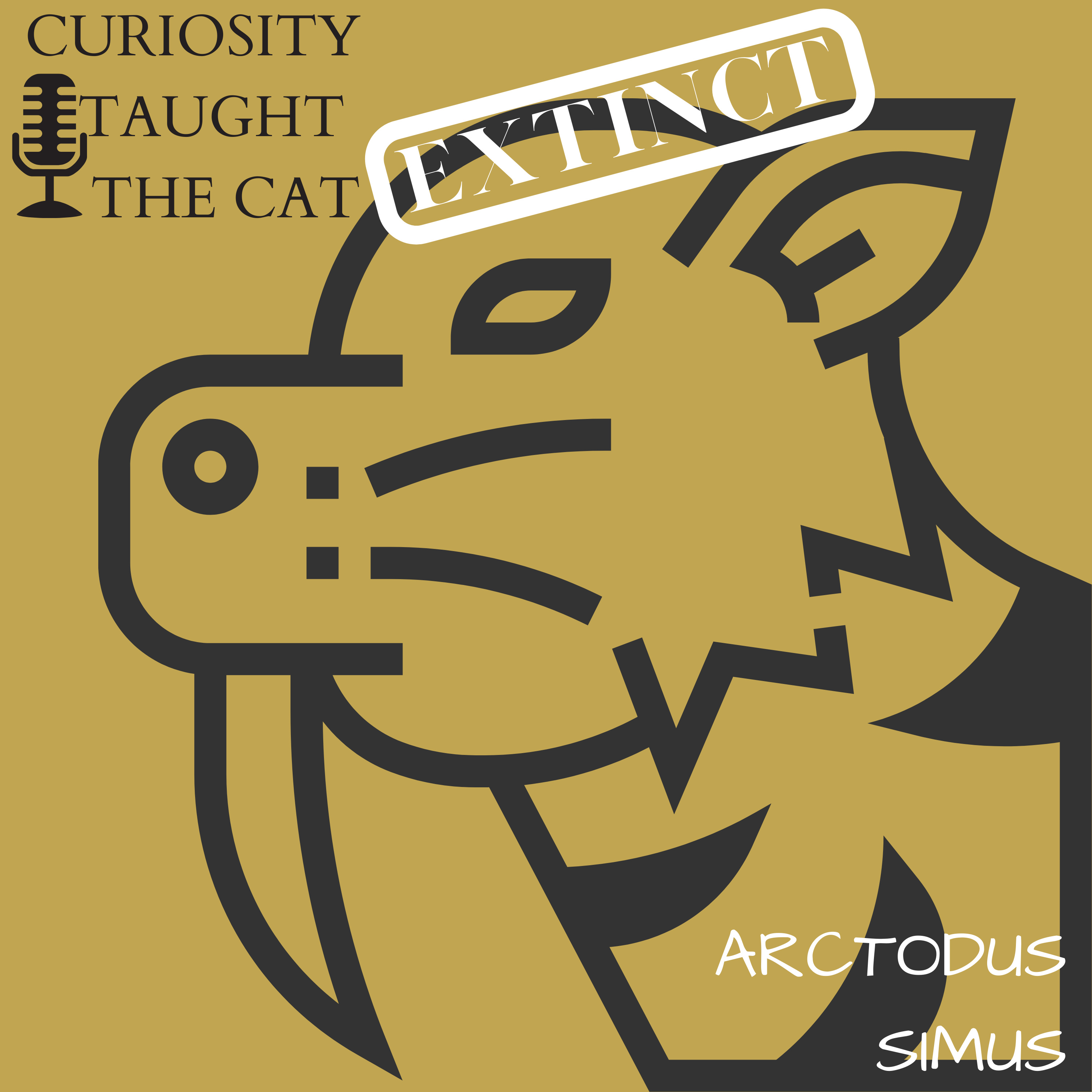 Curiosity Taught the Cat