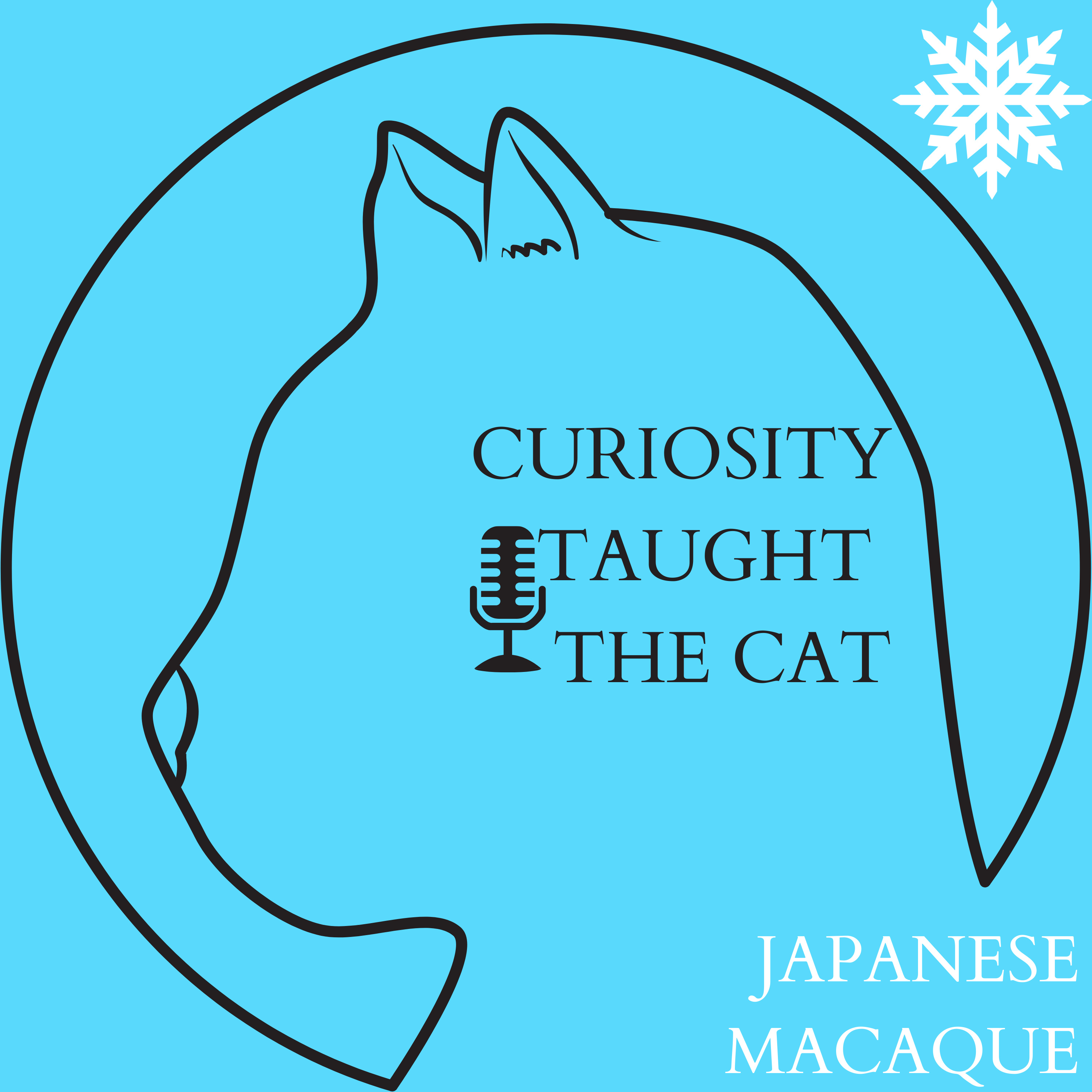 Episode 23 - Japanese Macaque episode artwork