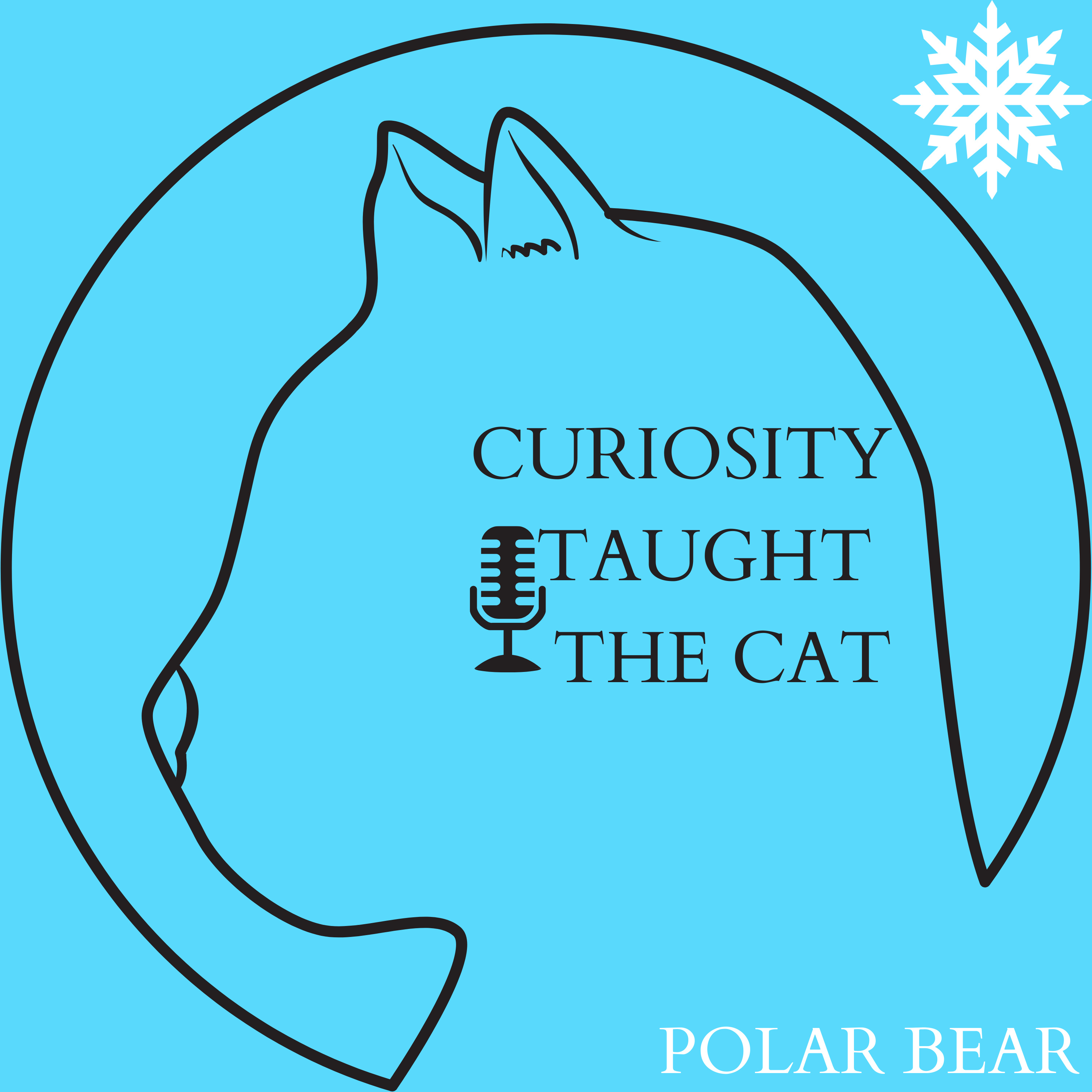 Episode 24 - Polar Bear episode artwork